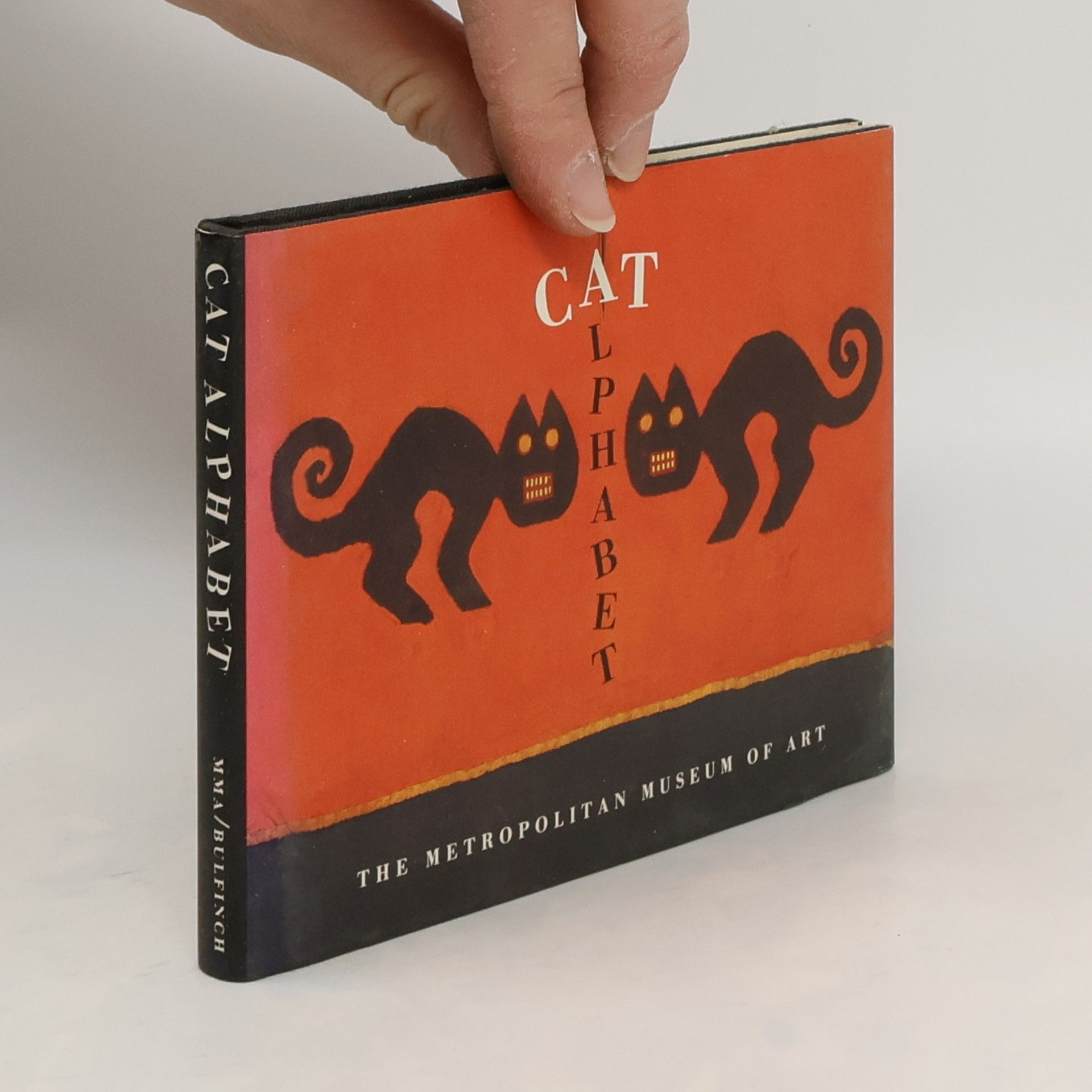 Autorenkollektiv Cat Alphabet