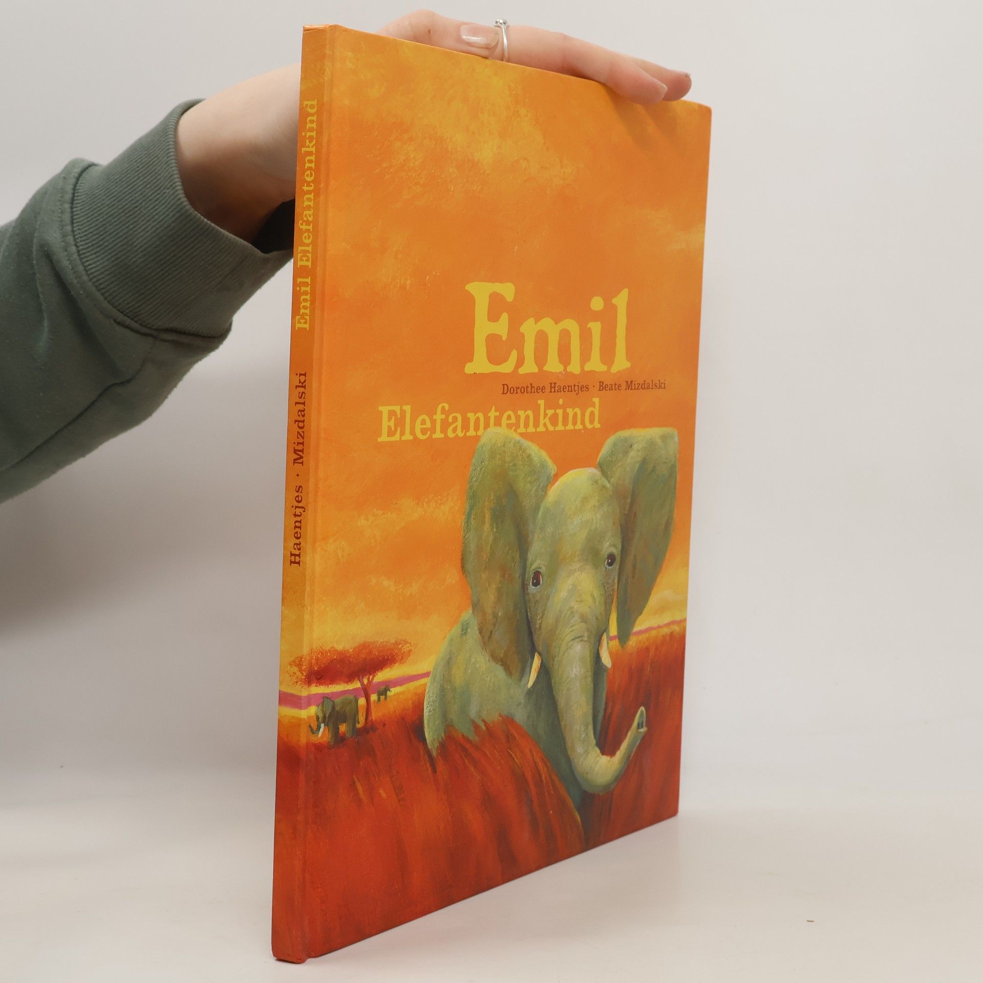 Beate Mizdalski Emil Elefantenkind