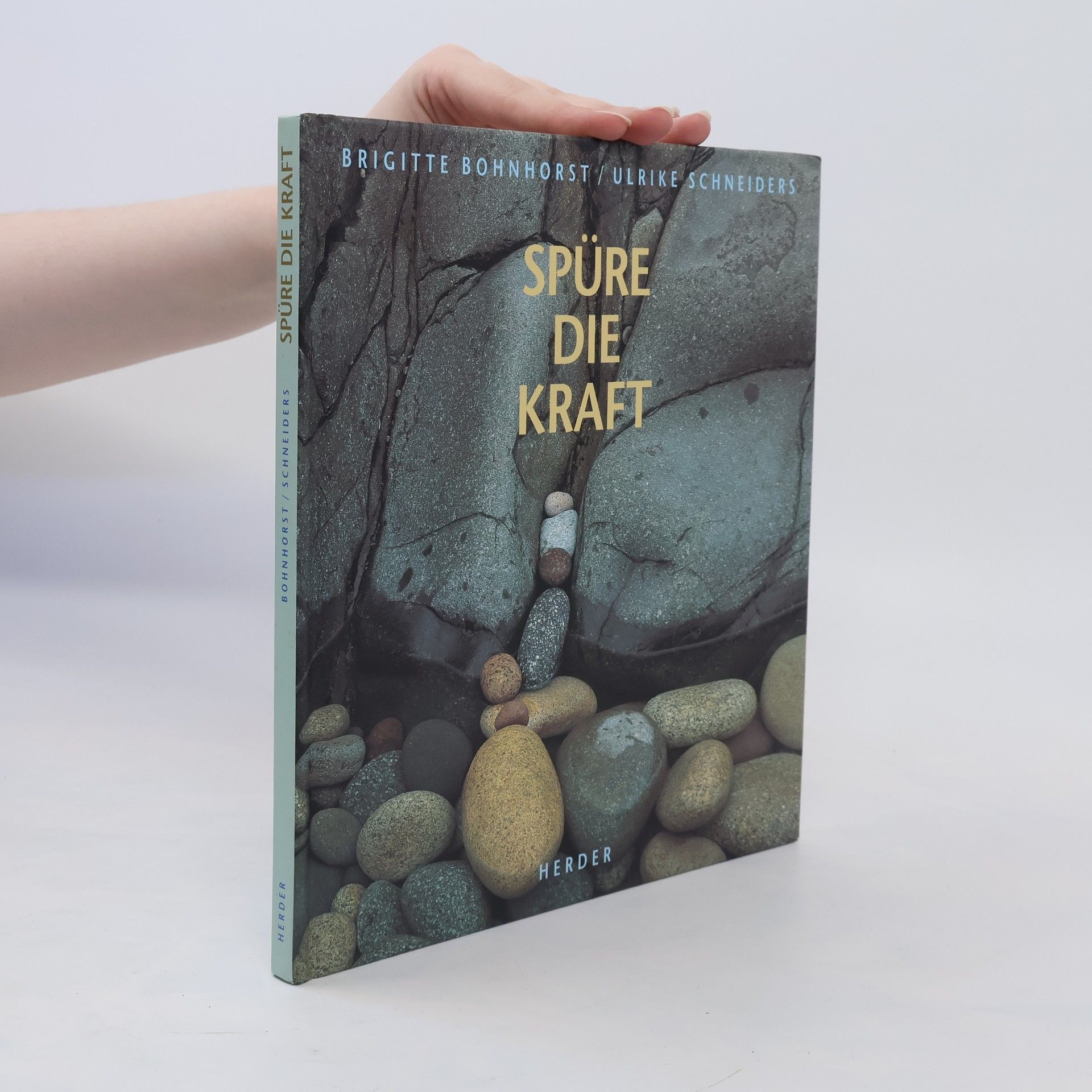 Brigitte Bohnhorst Spüre die Kraft