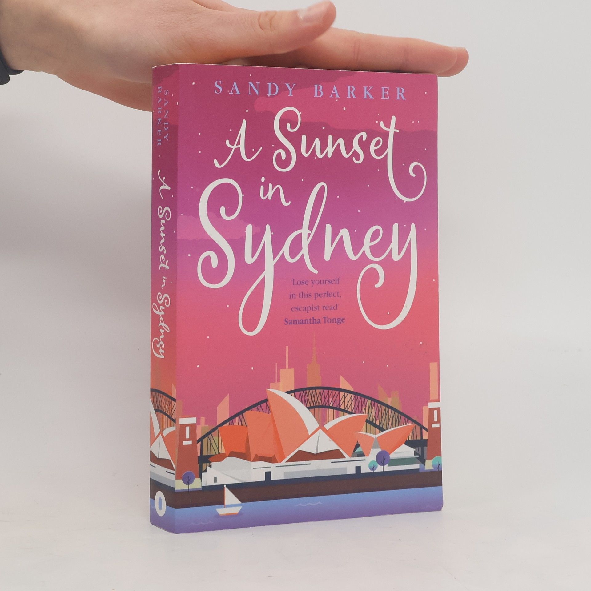 Sandy Barker A Sunset in Sydney