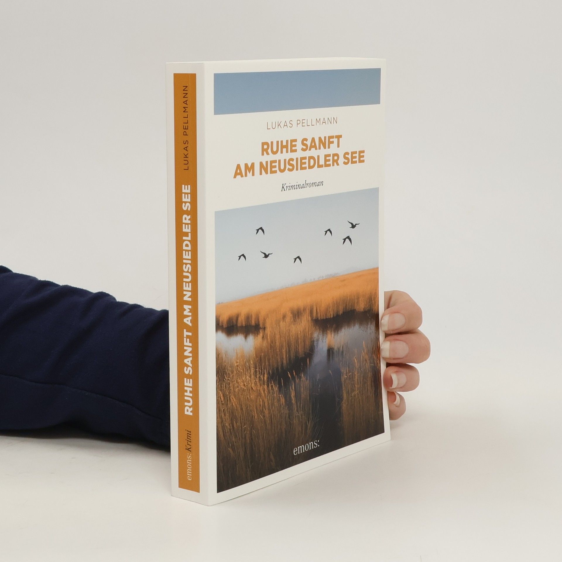 Lukas Pellmann Ruhe sanft am Neusiedler See. Kriminalroman