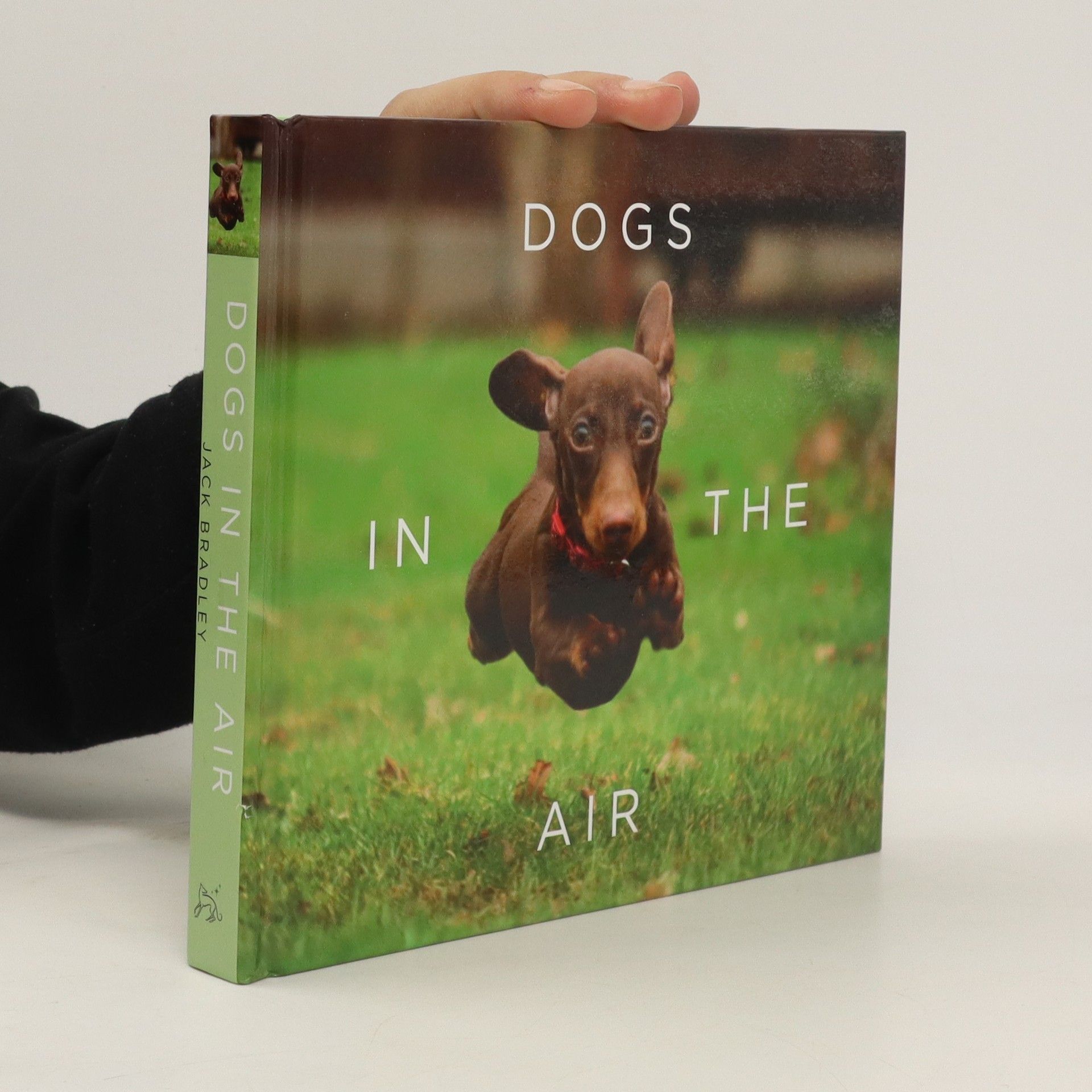 Jack Bradley Dogs in the Air