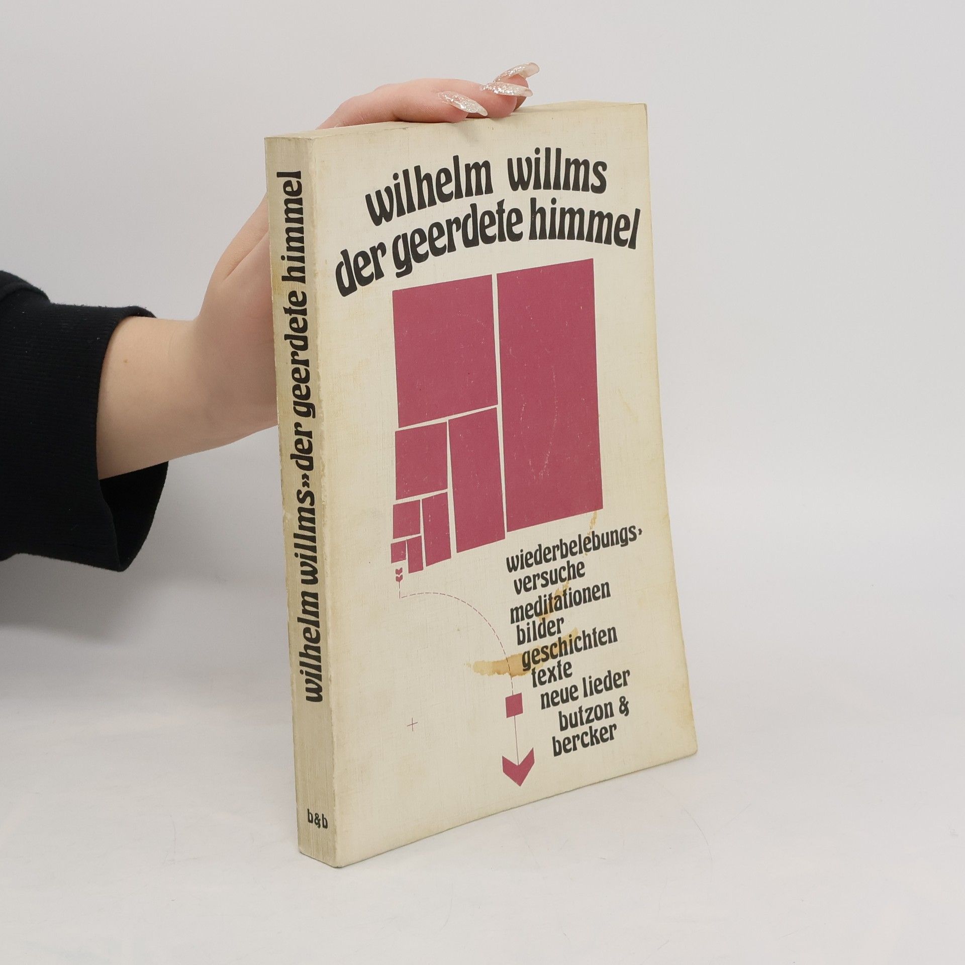 Wilhelm Willms Der geerdete Himmel