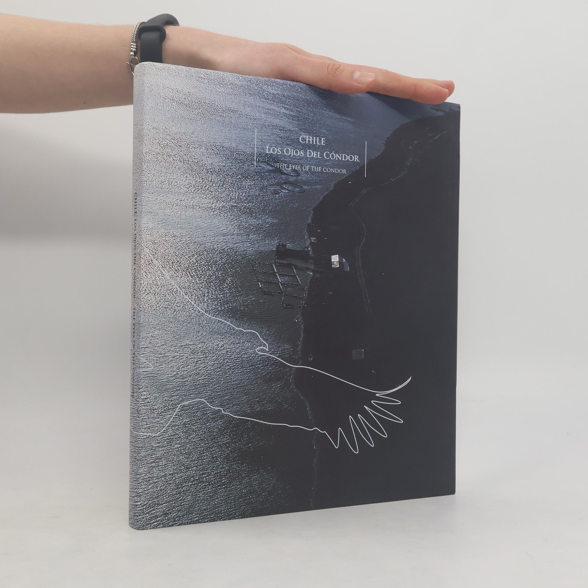 Collectif d'auteurs Chile