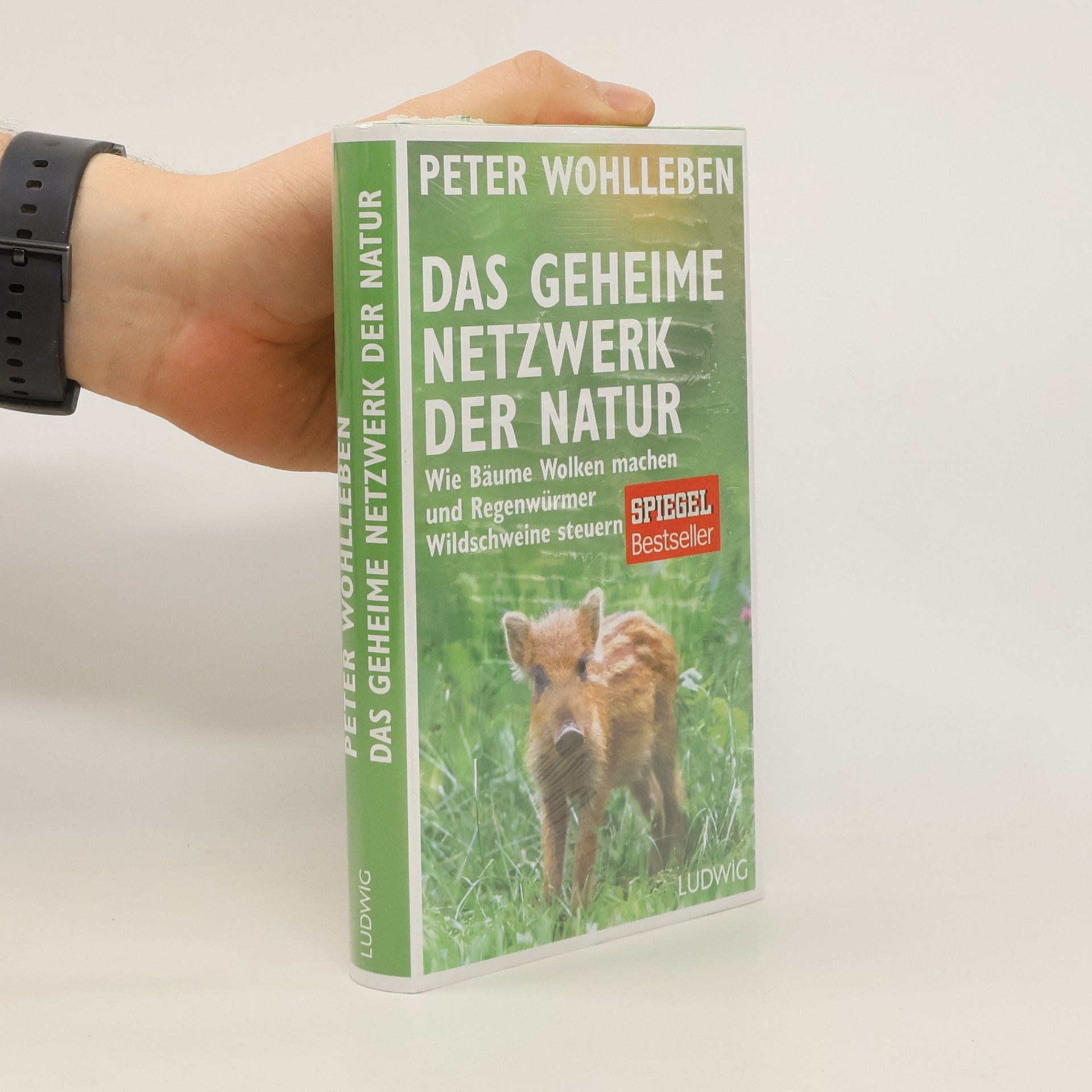 Wohlleben Peter Das geheime Netzwerk der Natur