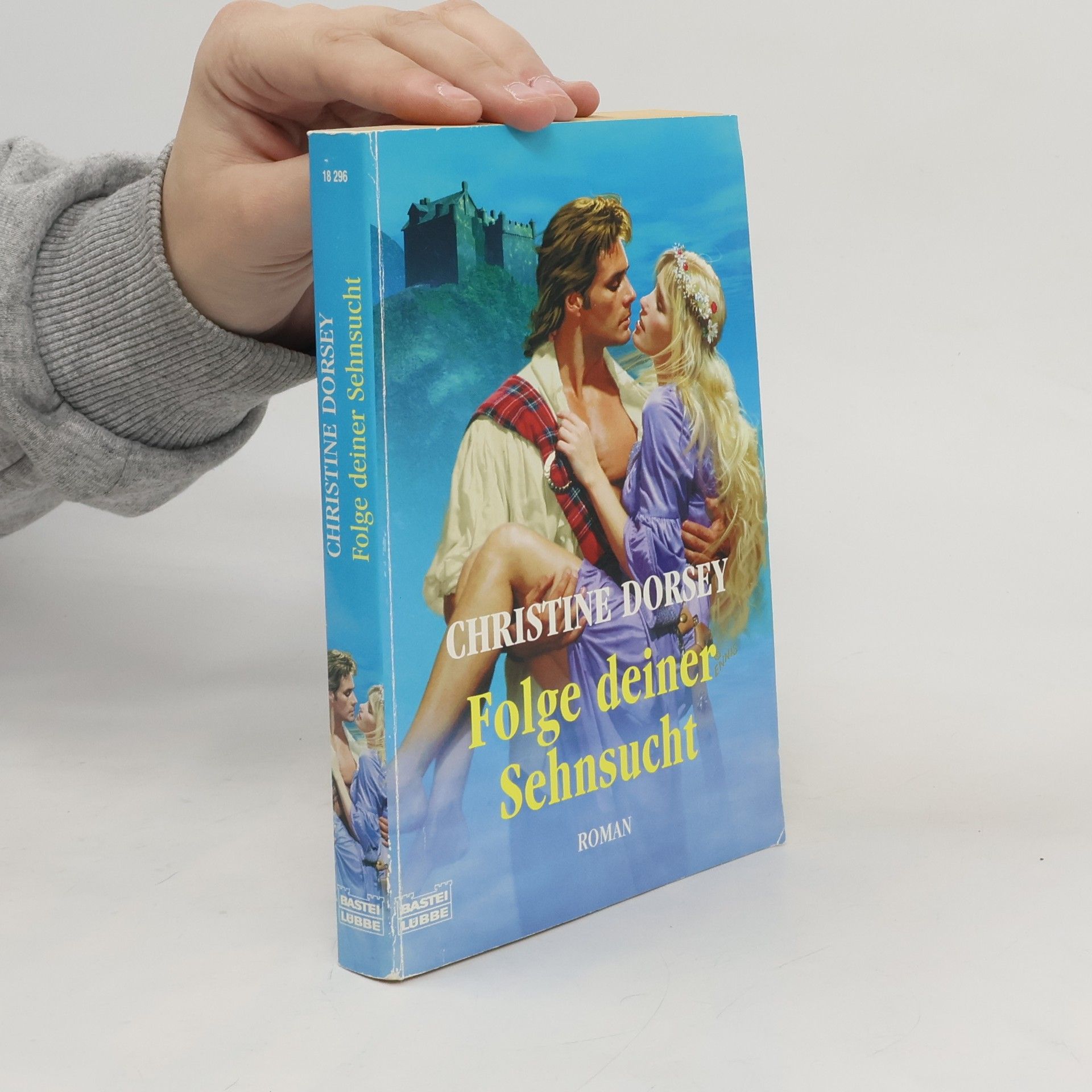 Christine Dorsey Folge deiner Sehnsucht. Roman. Dtsch. v. Joachim Honnef