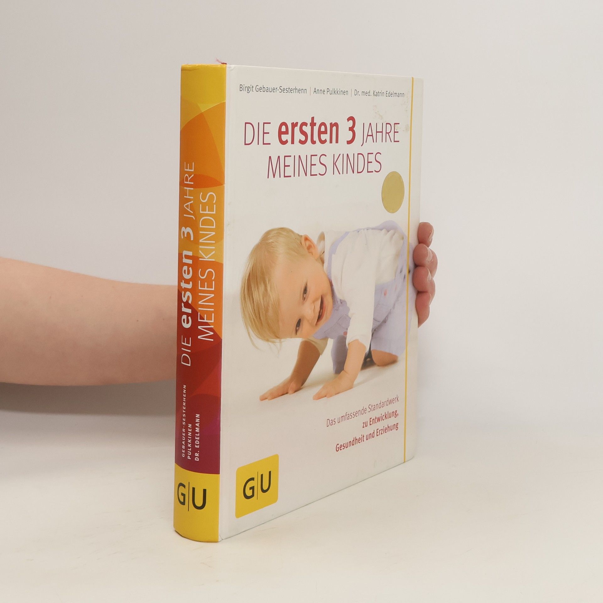 Birgit Gebauer-Sesterhenn Die ersten 3 Jahre meines Kindes
