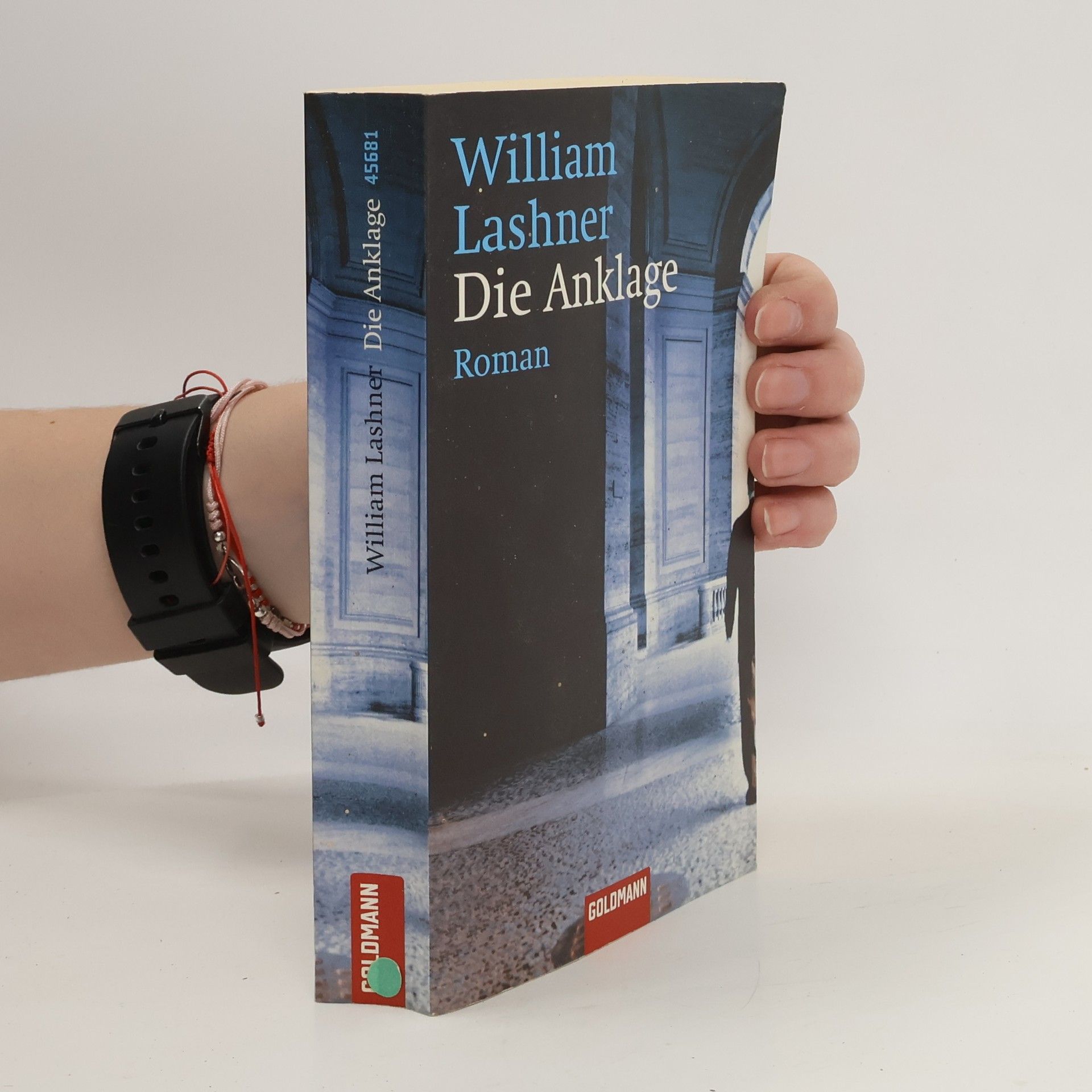 William Lashner Die Anklage