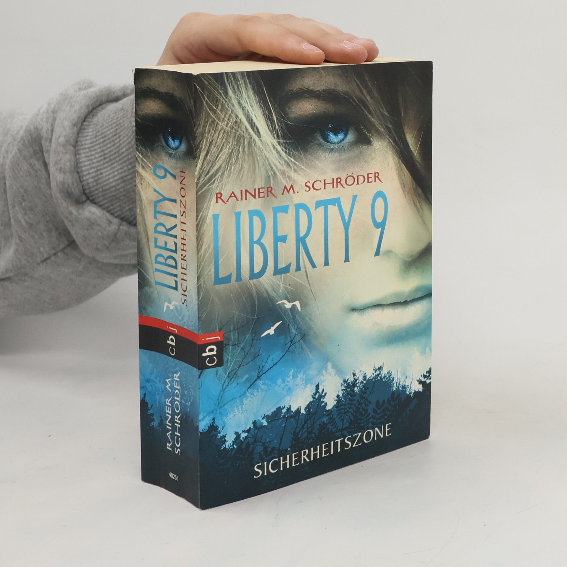 Rainer M. Schröder Liberty 9 - Sicherheitszone