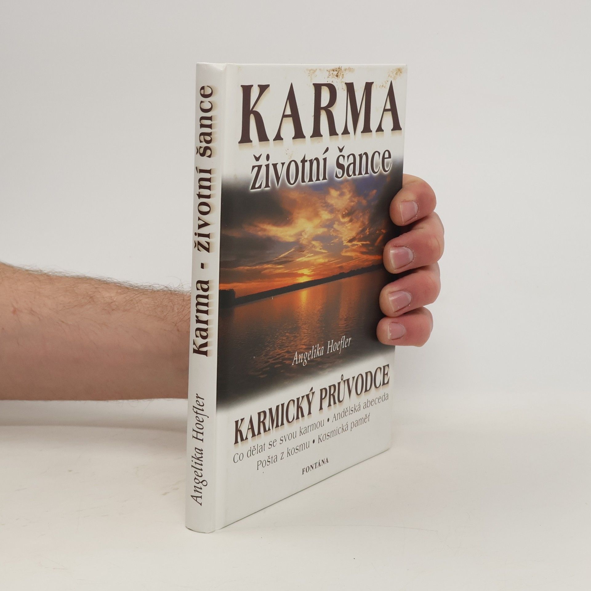 Angelika Hoefler Karma - životní šance, aneb, Jak proměníte každou zkoušku ve svůj osobní úspěch : karmický průvodce