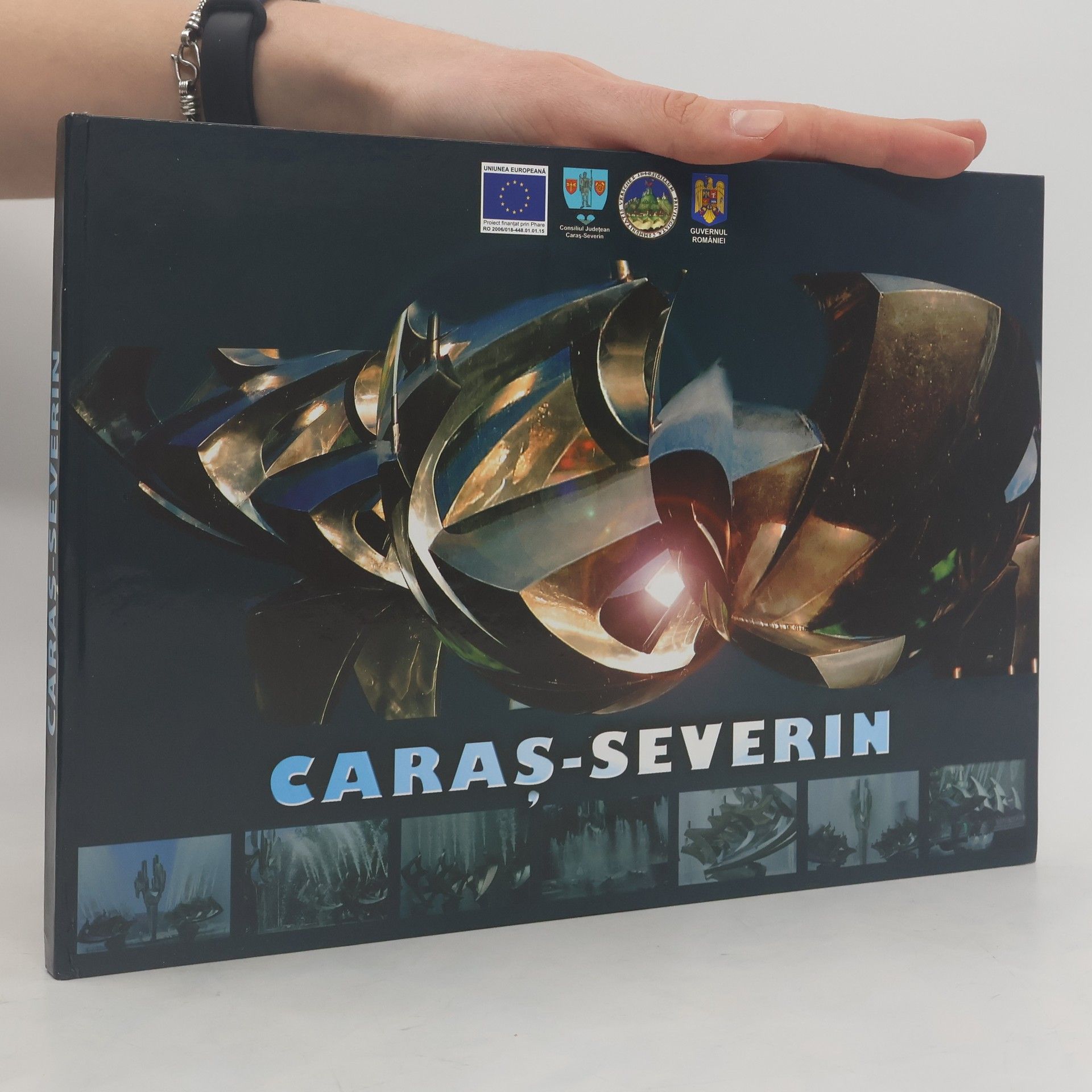 Collective Caraş-Severin