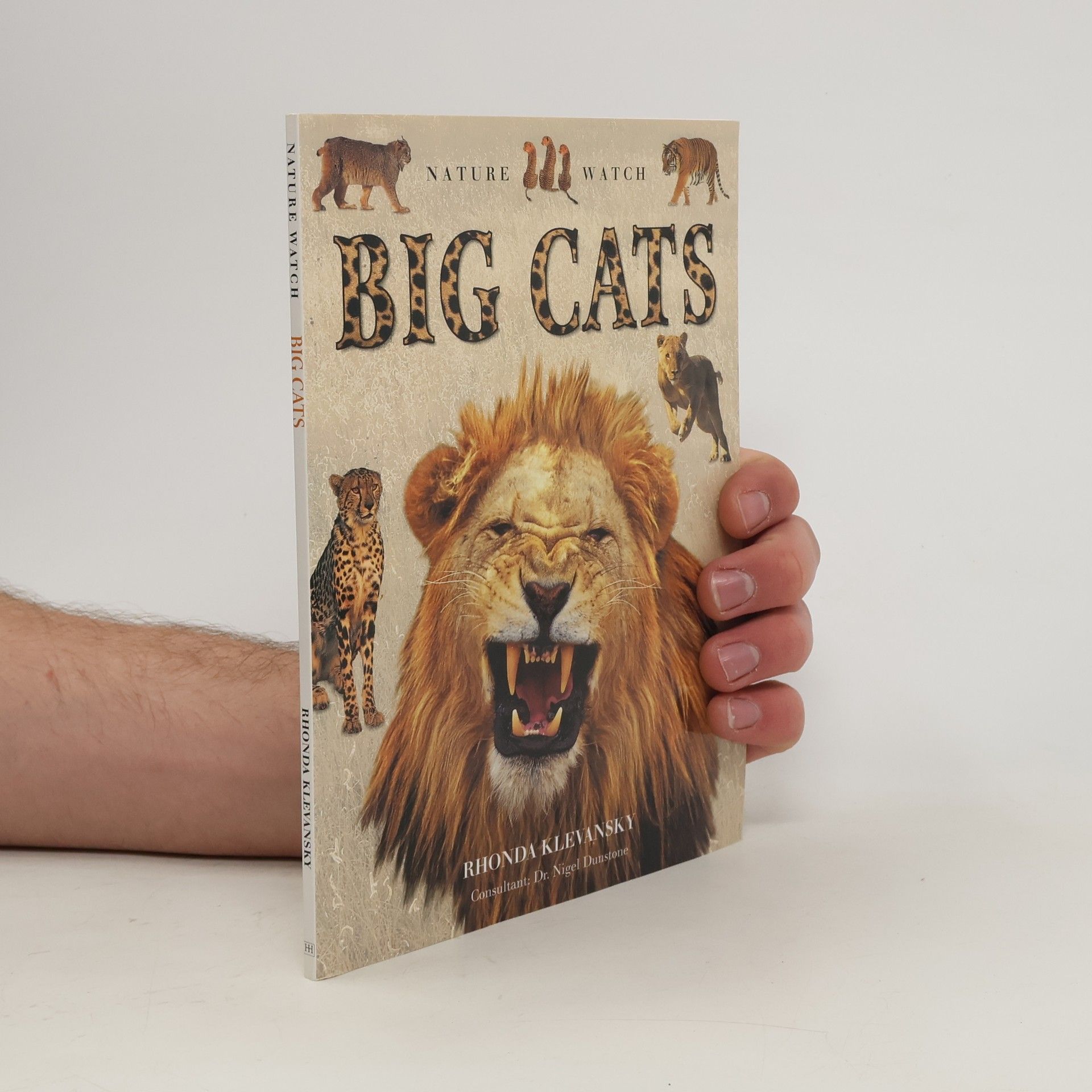 Rhonda Klevansky Big Cats