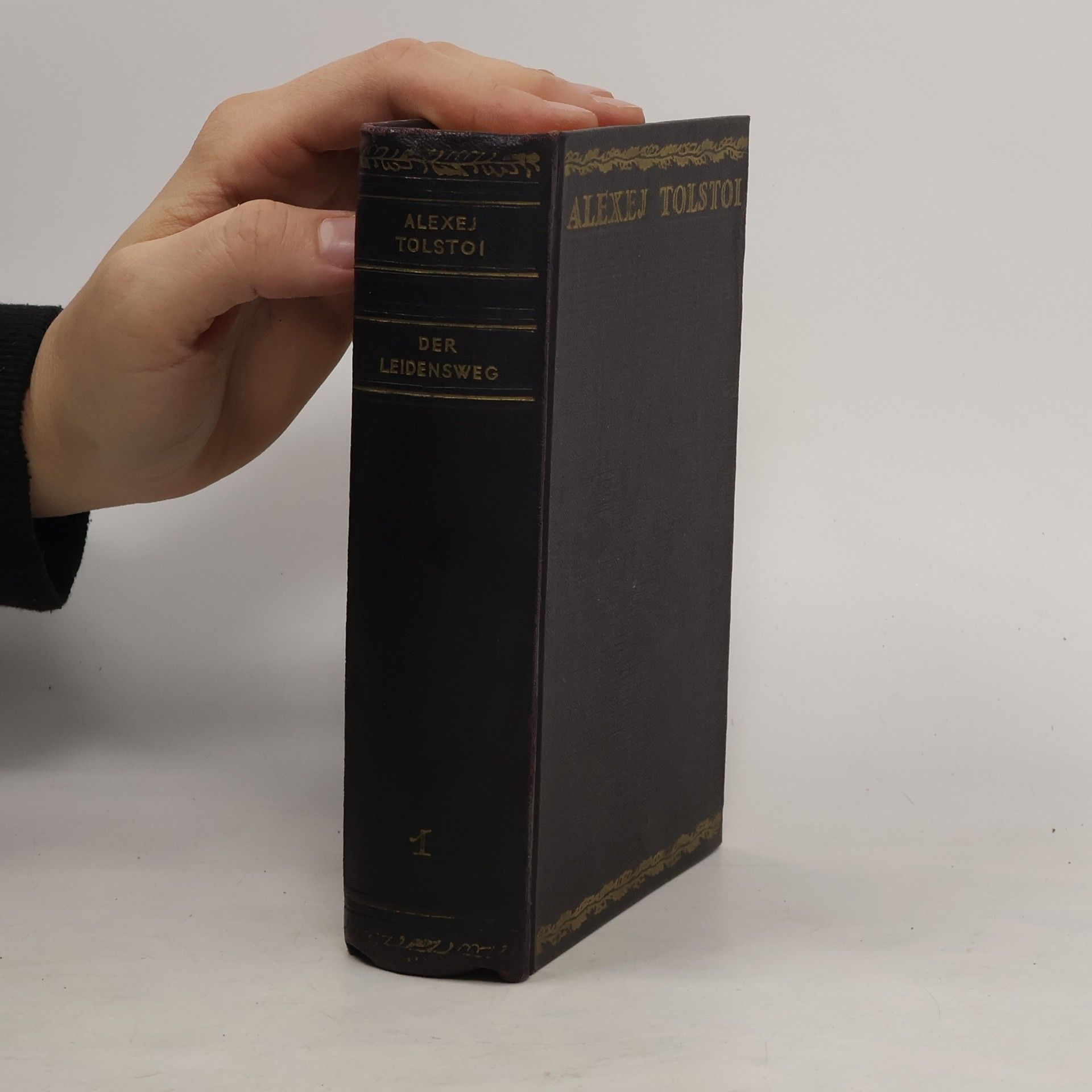 Alexej Tolstoi Der Leidensweg 1