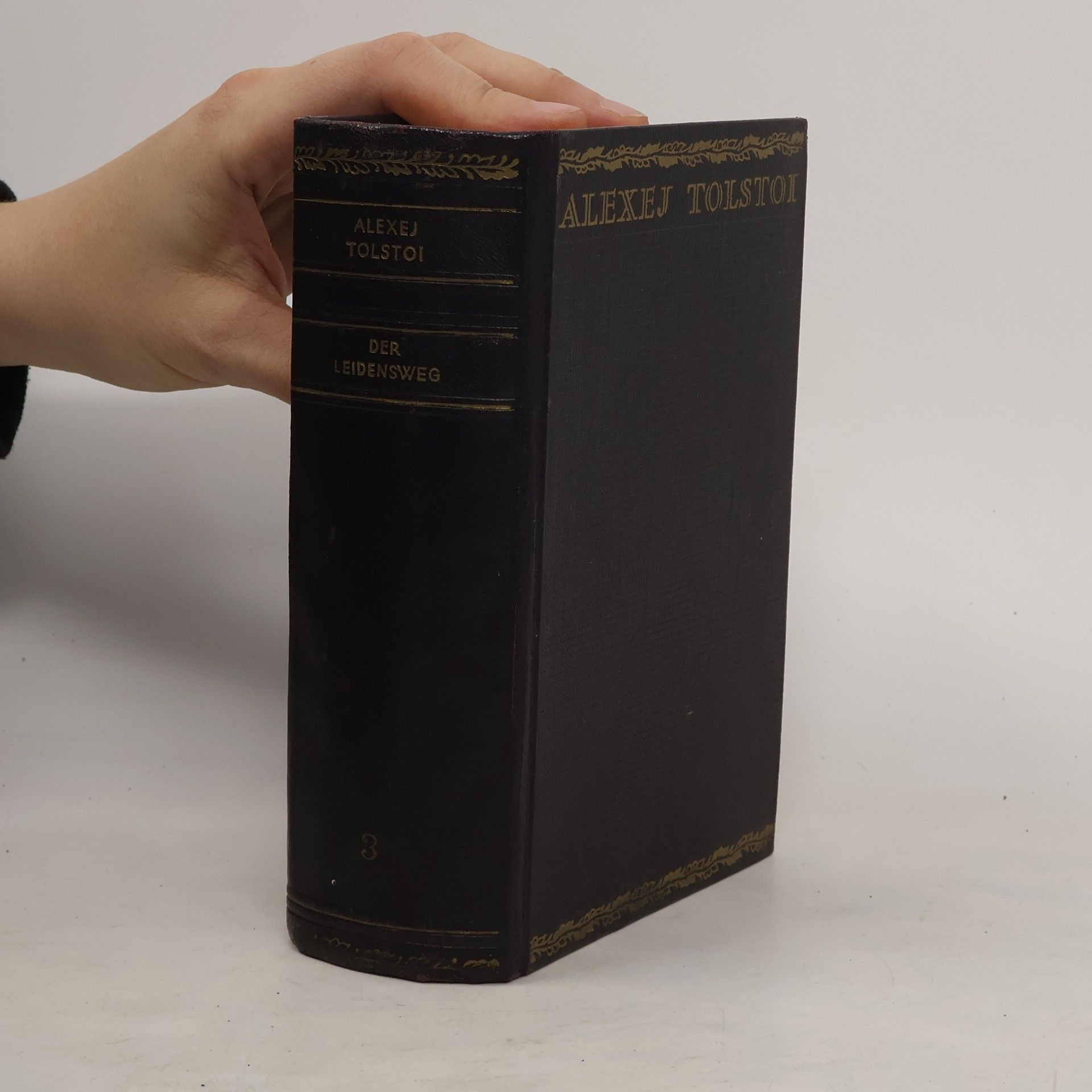 Alexej Tolstoi Der Leidensweg 1