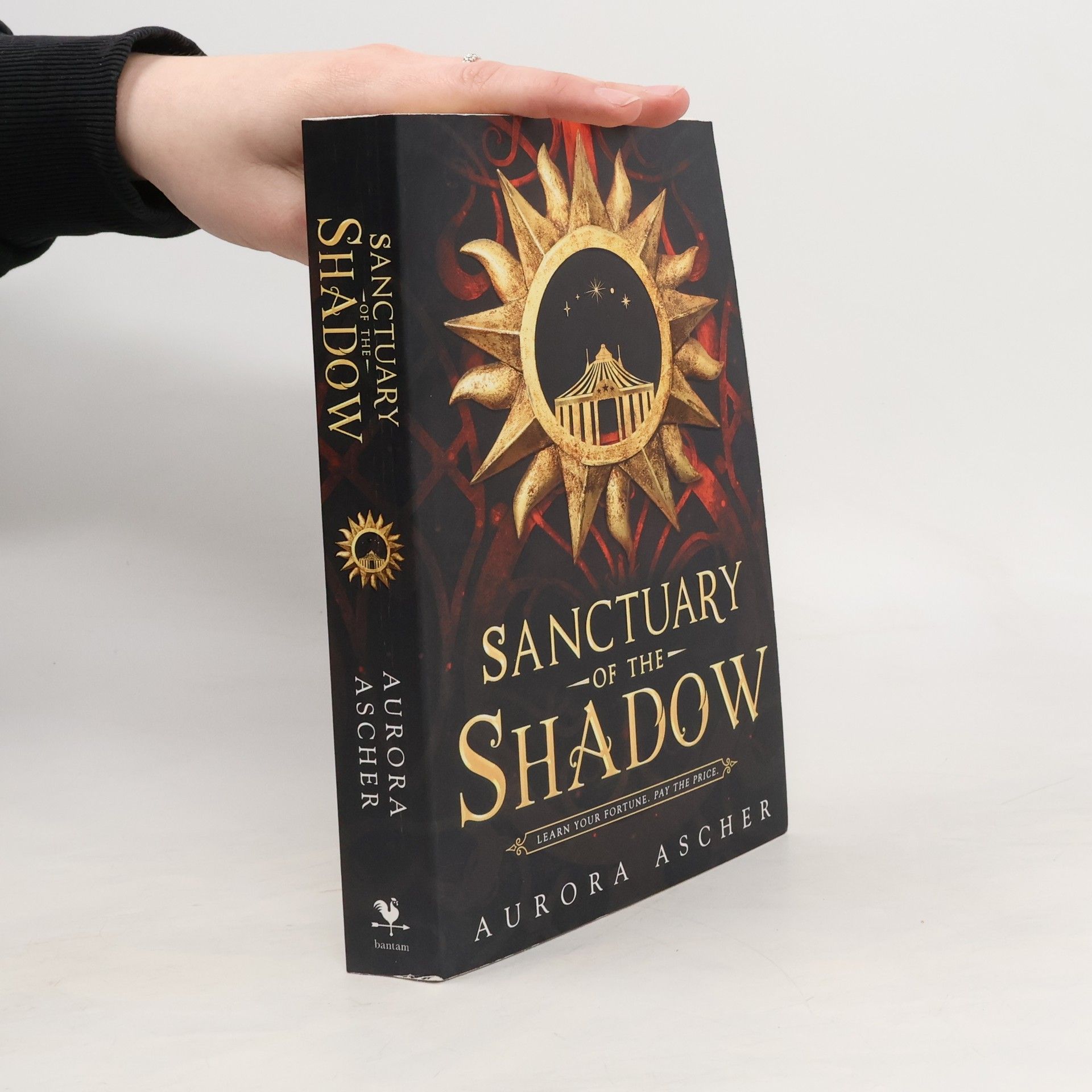 Aurora Ascher Sanctuary of the Shadow: The most gripp