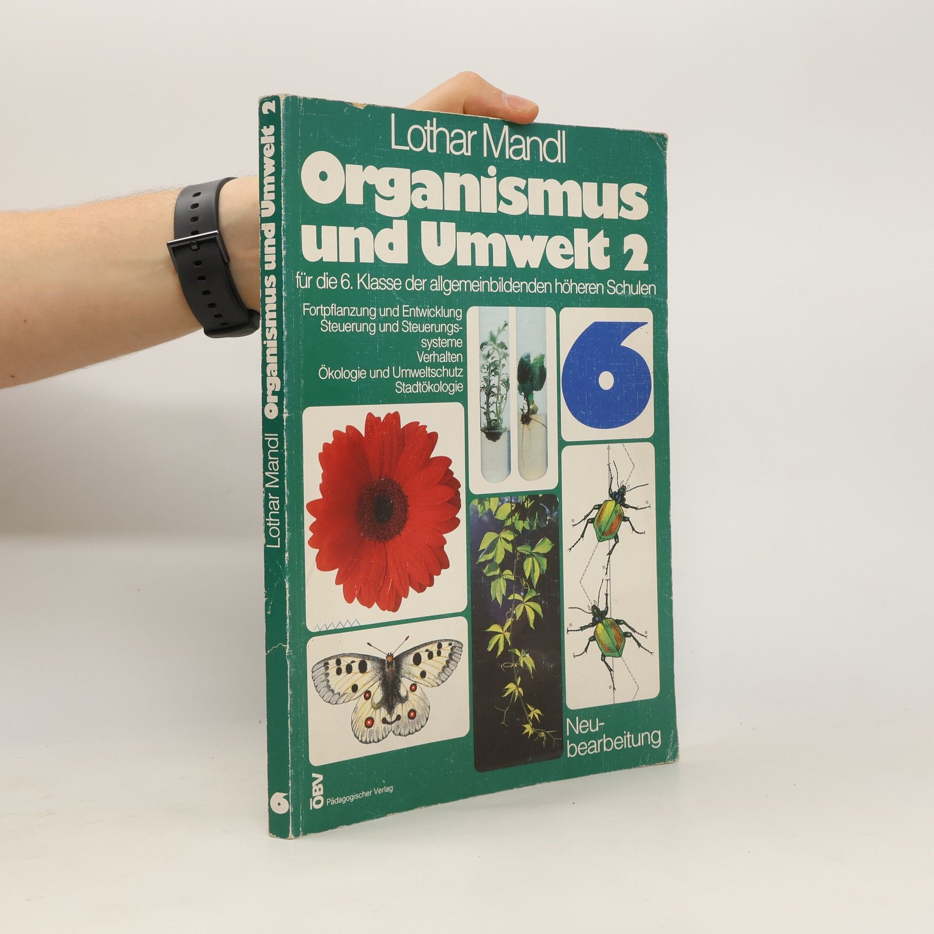 Collective Organismus und Umwelt