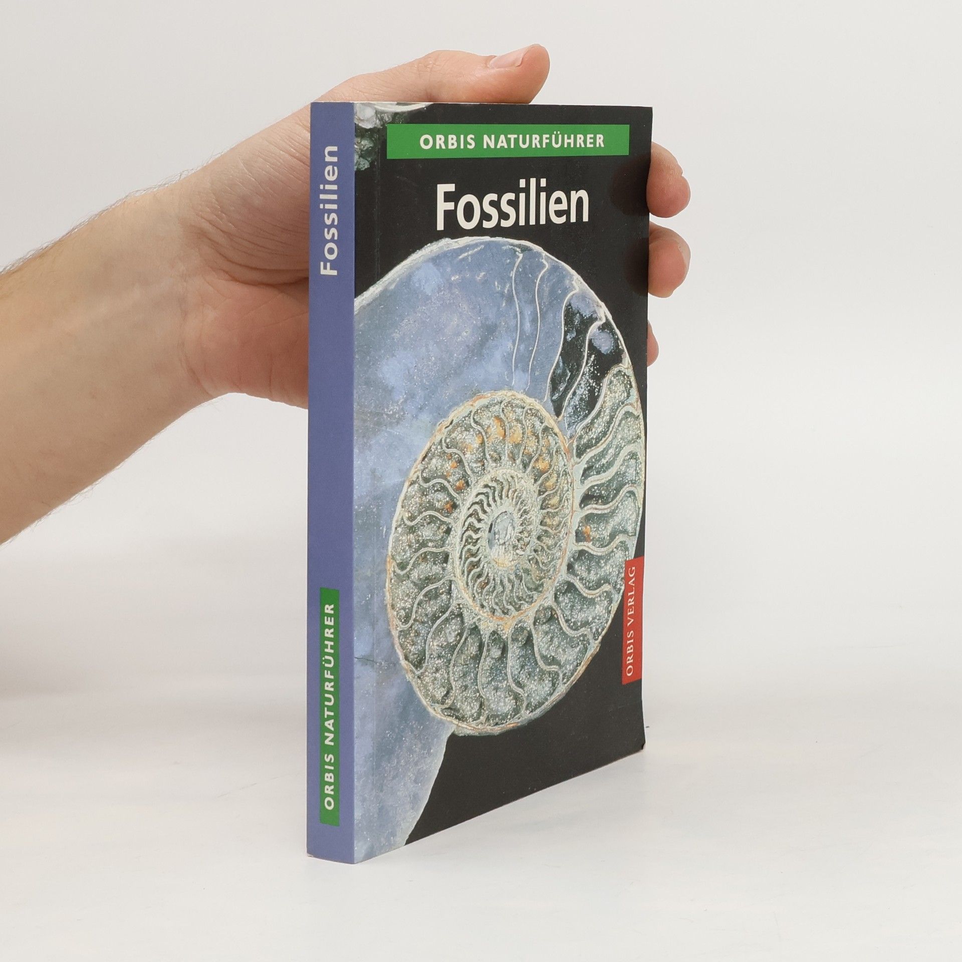 Karl Beurlen Fossilien