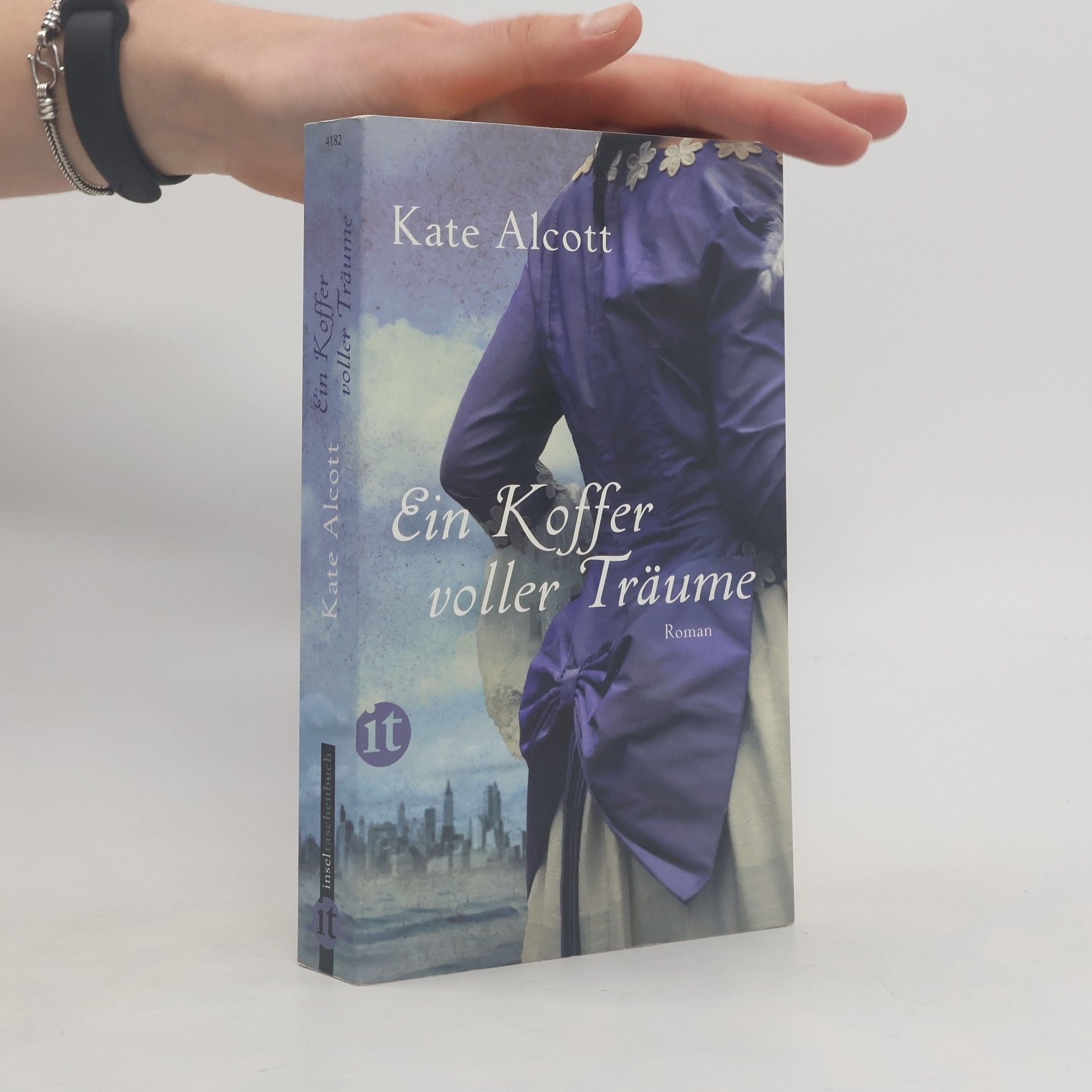 Kate Alcott Ein Koffer voller Träume