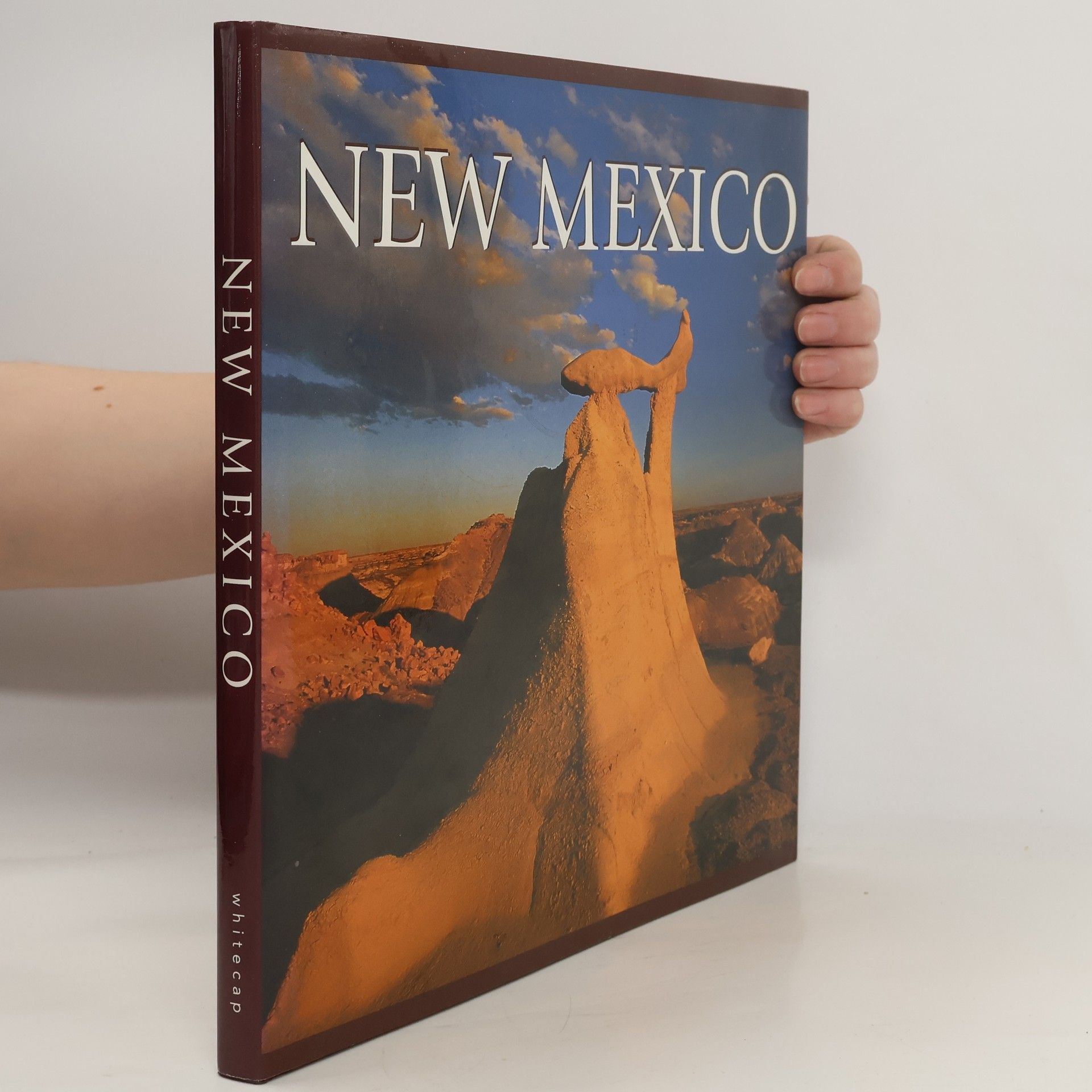 Collectif d'auteurs New Mexico