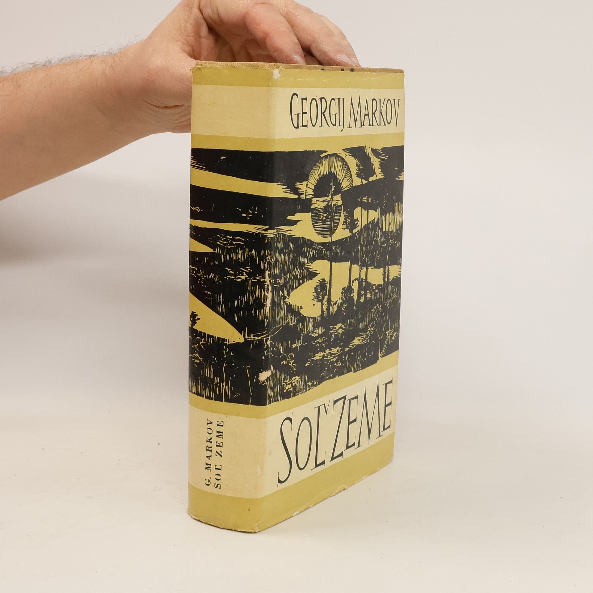 Georgij Mokejevič Markov Soľ zeme