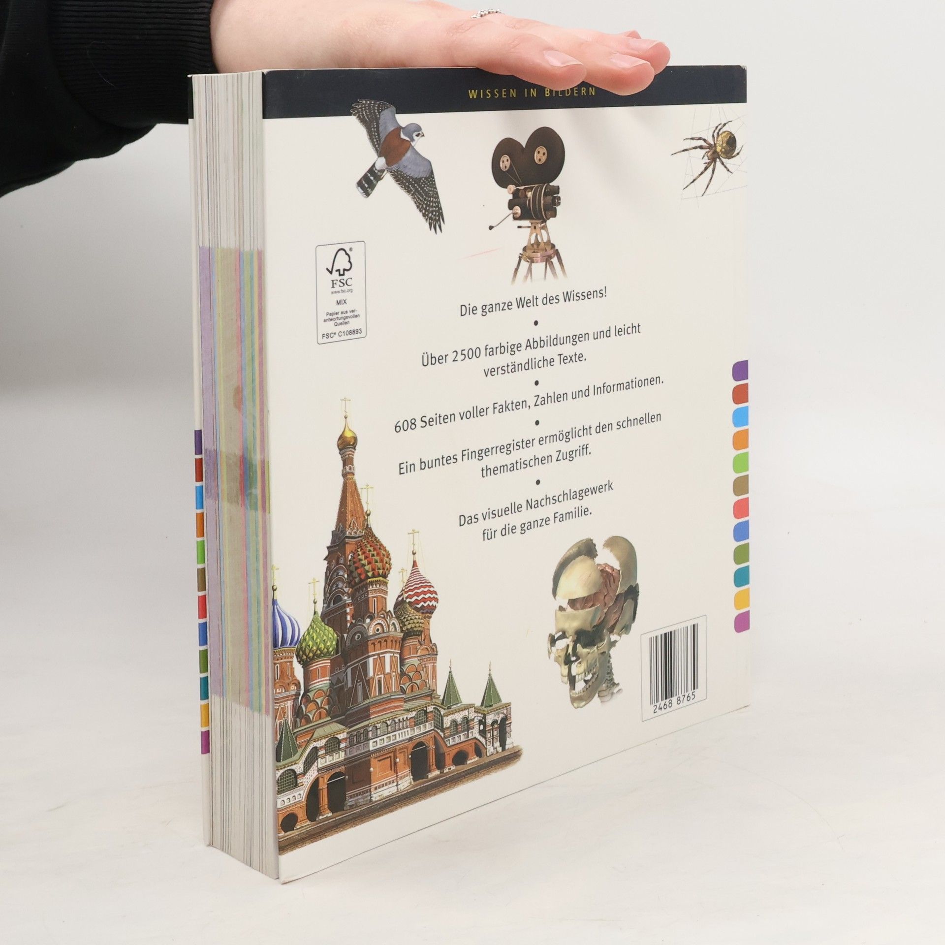 Autorenkollektiv Mein großes Bildlexikon