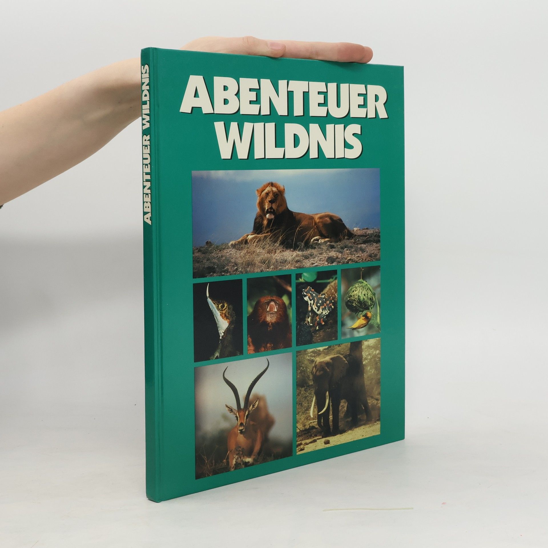 Autorenkollektiv Abenteuer Wildnis
