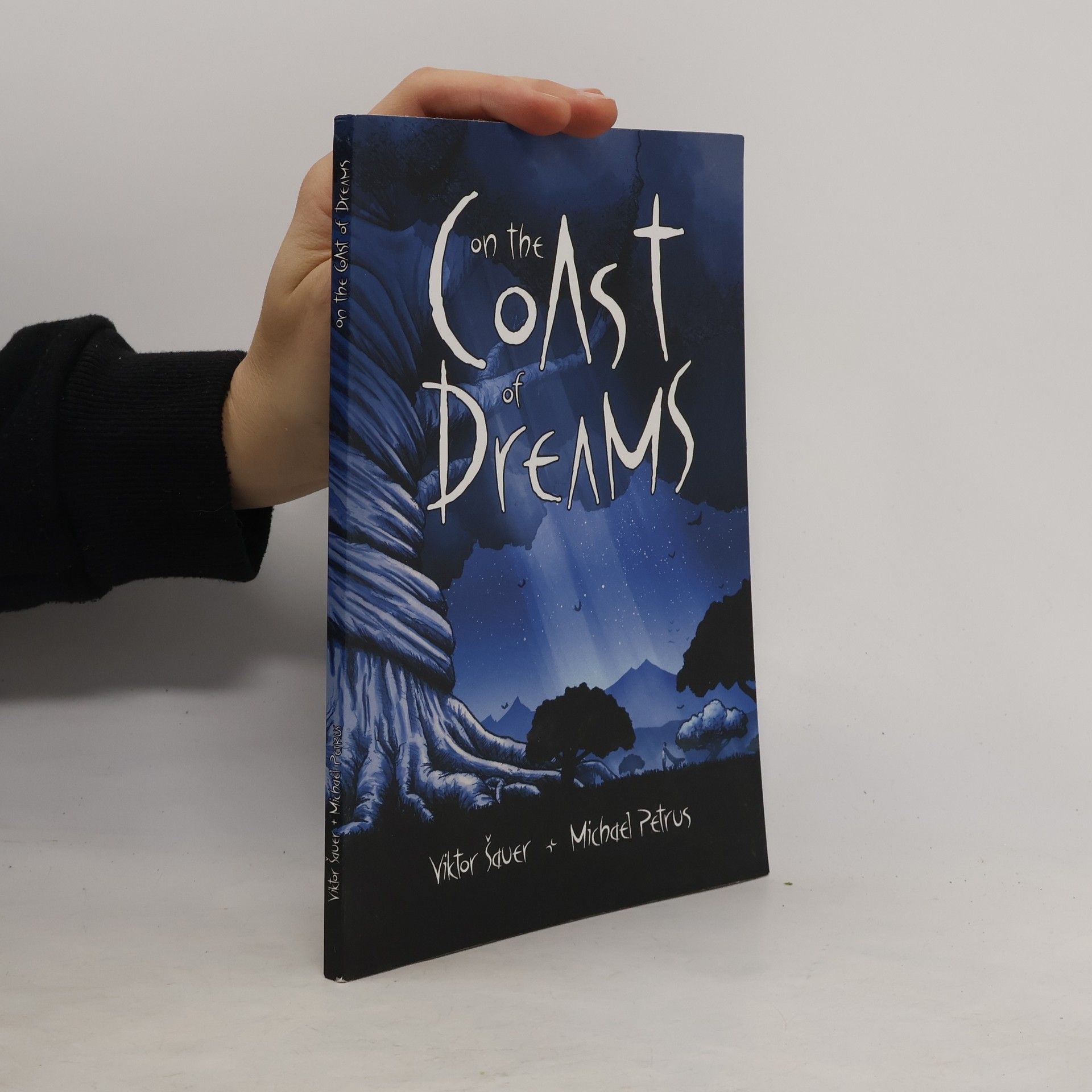Viktor Šauer On the coast of dreams
