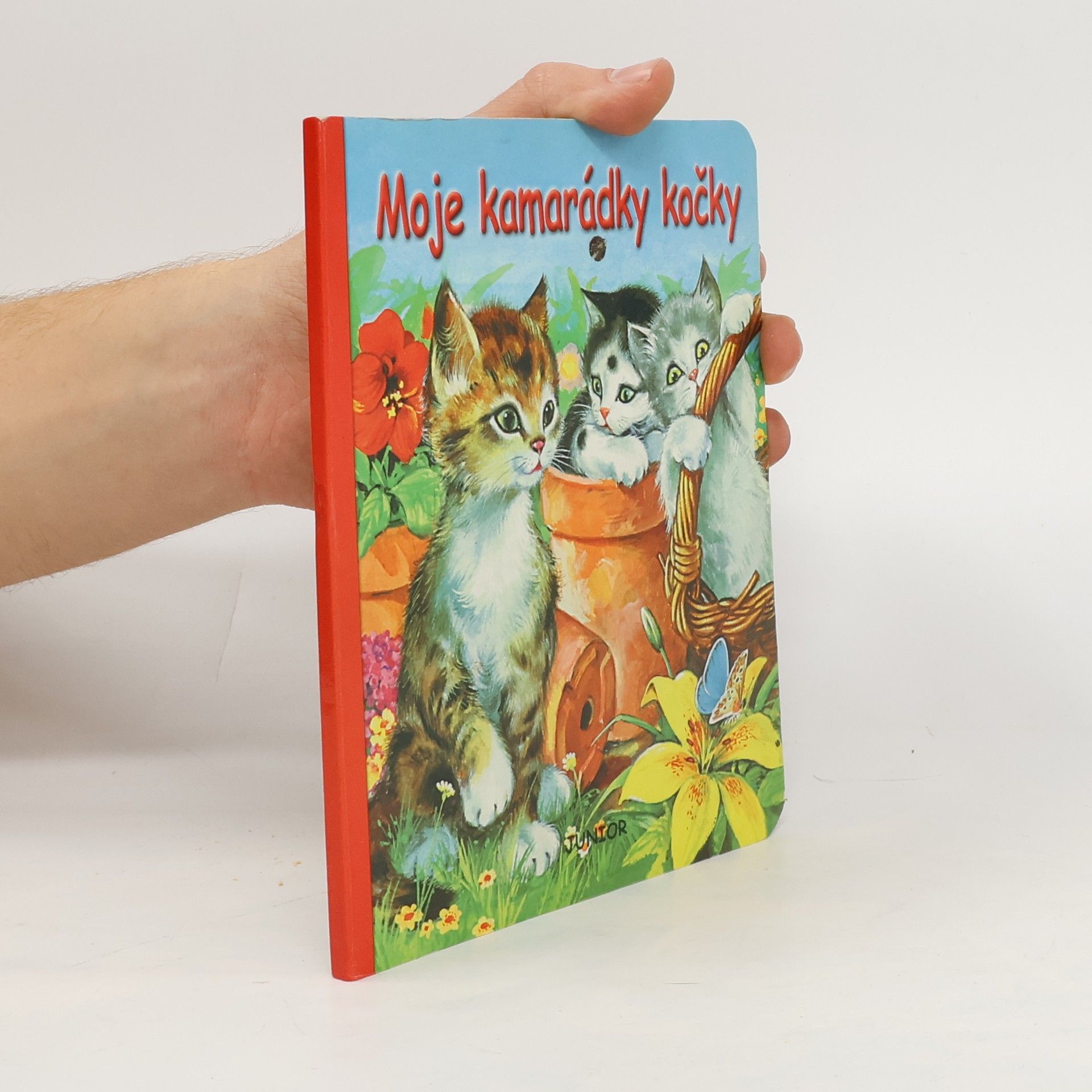 Ivo Odehnal Moje kamarádky kočky