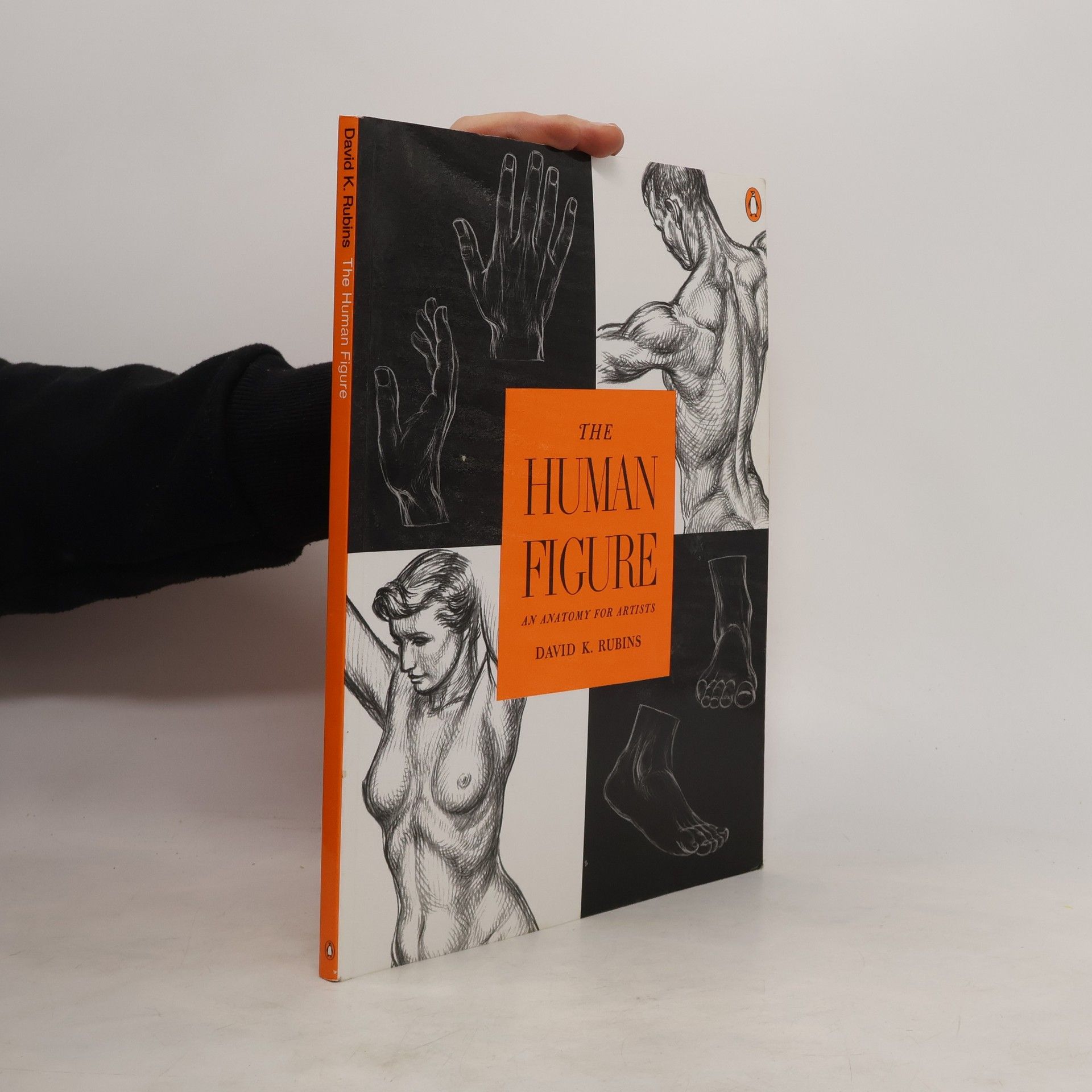 David K. Rubins The Human Figure: An Anatomy for Artists