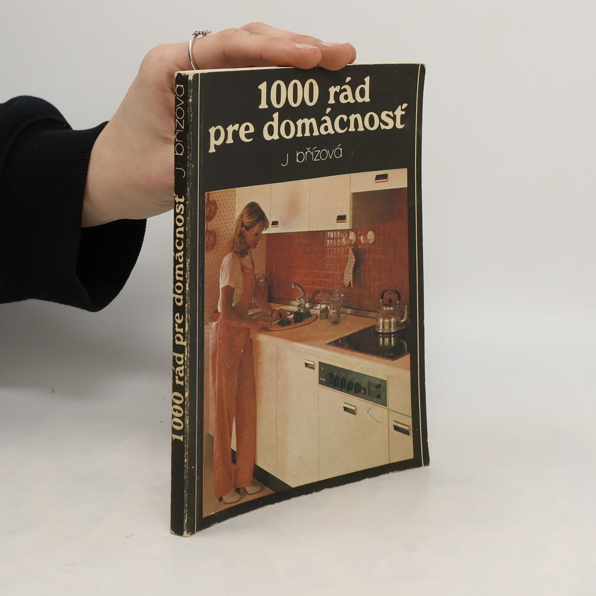 J. Břízová 1000 rád pre domácnosť