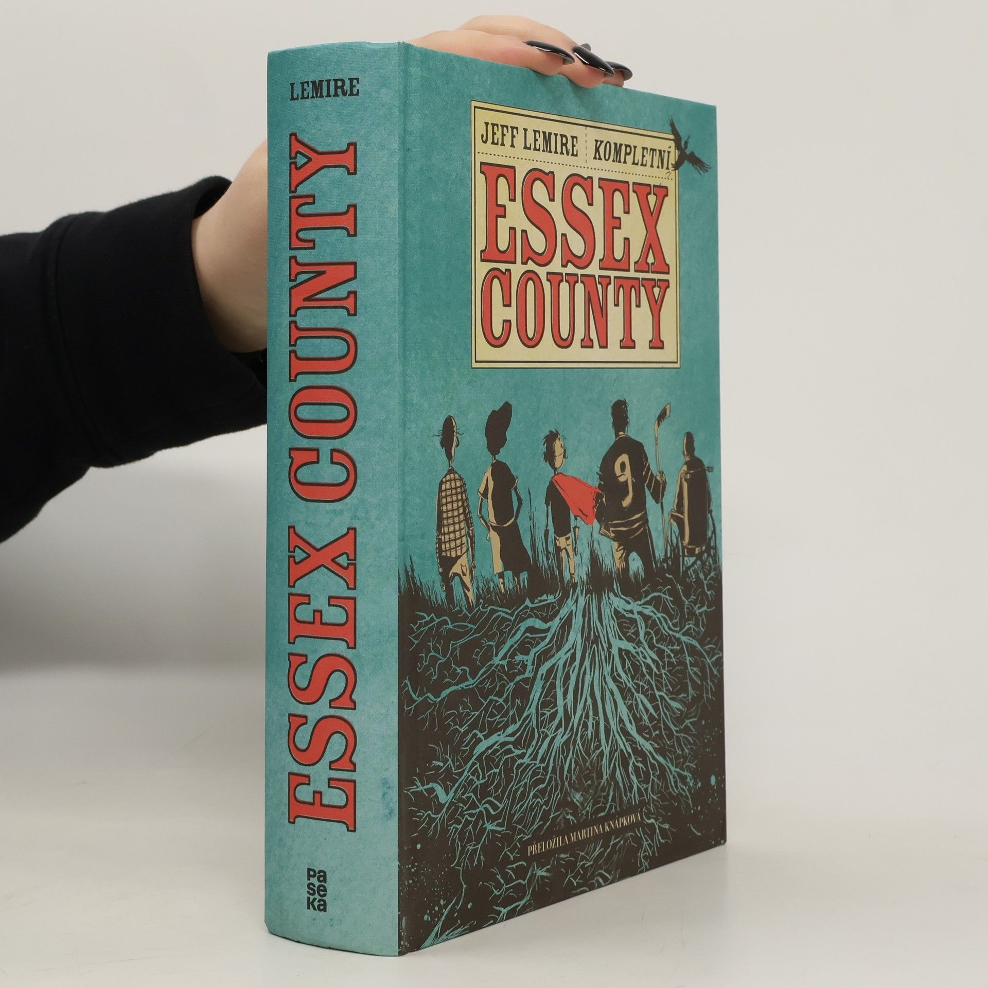 Jeff Lemire Essex County