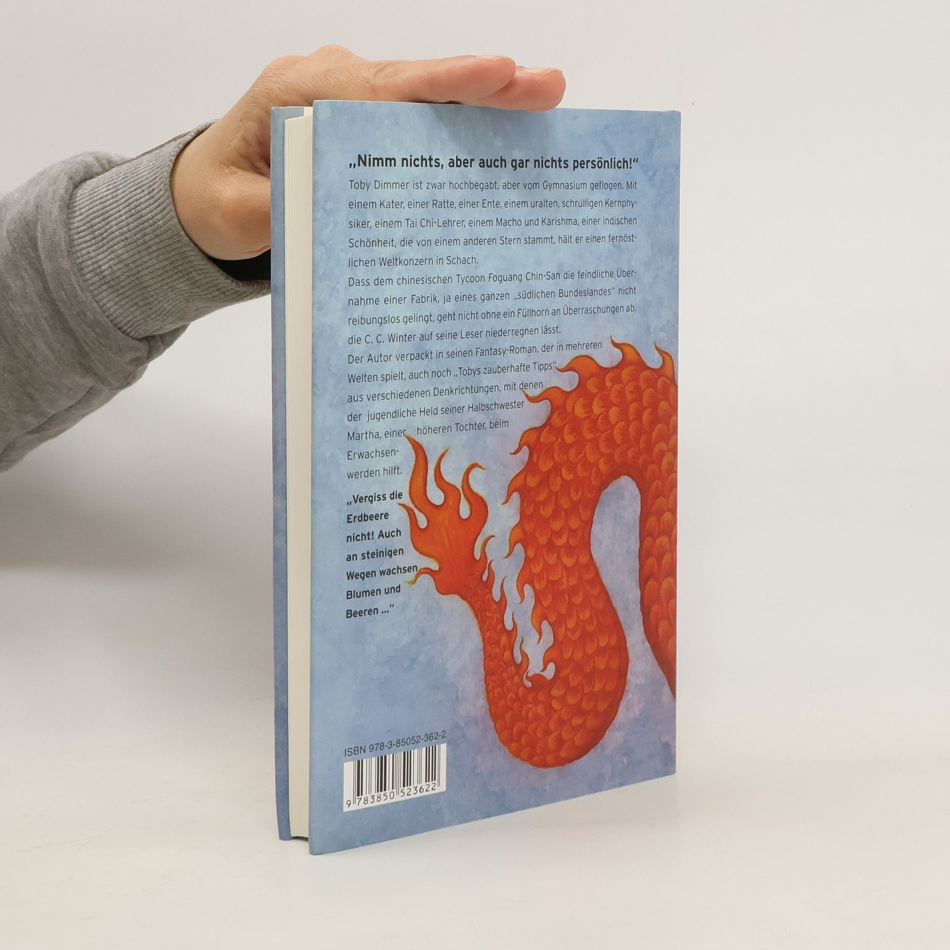 C. C. Winter Toby Dimmer und der Flug des Drachen