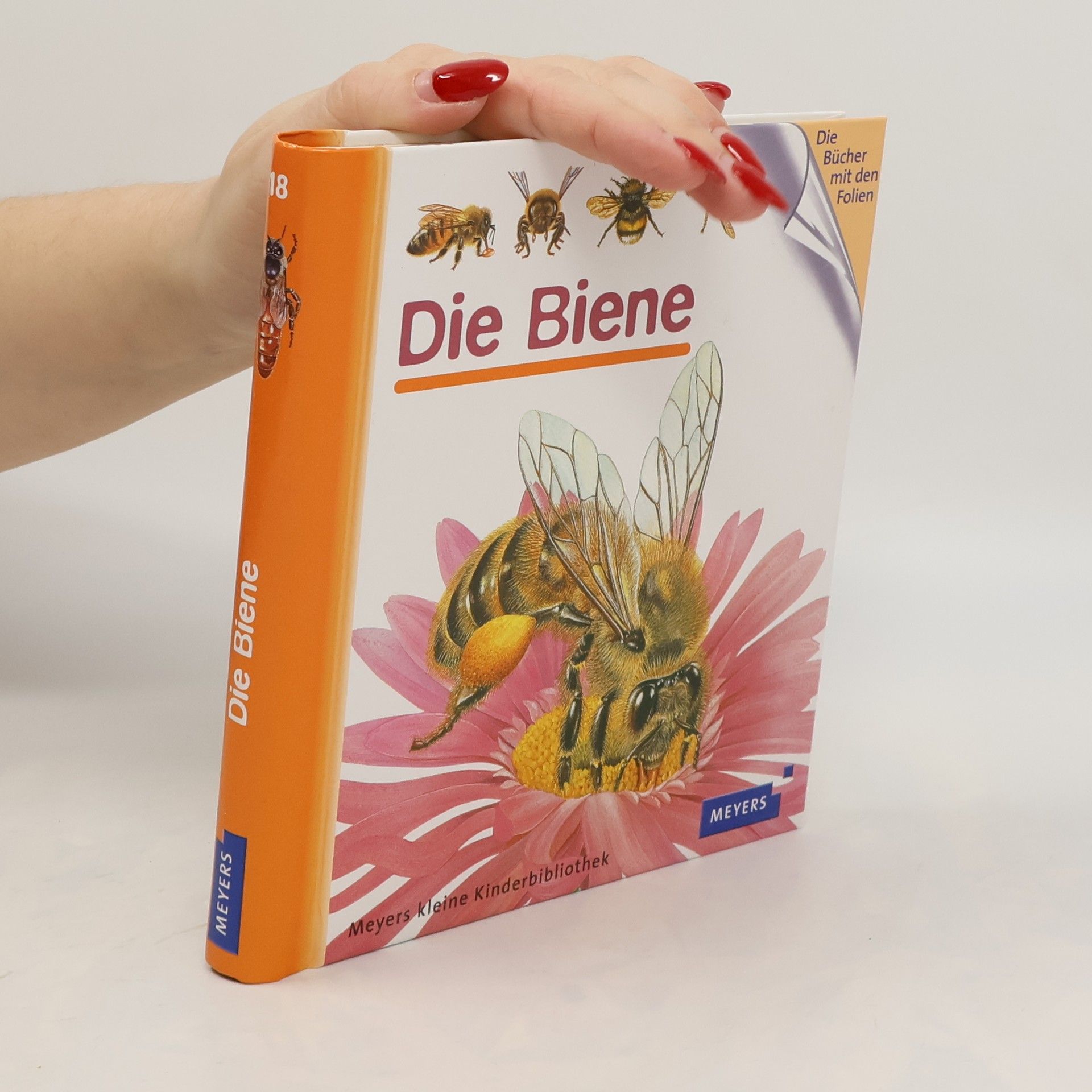 Ute Fuhr Die Biene