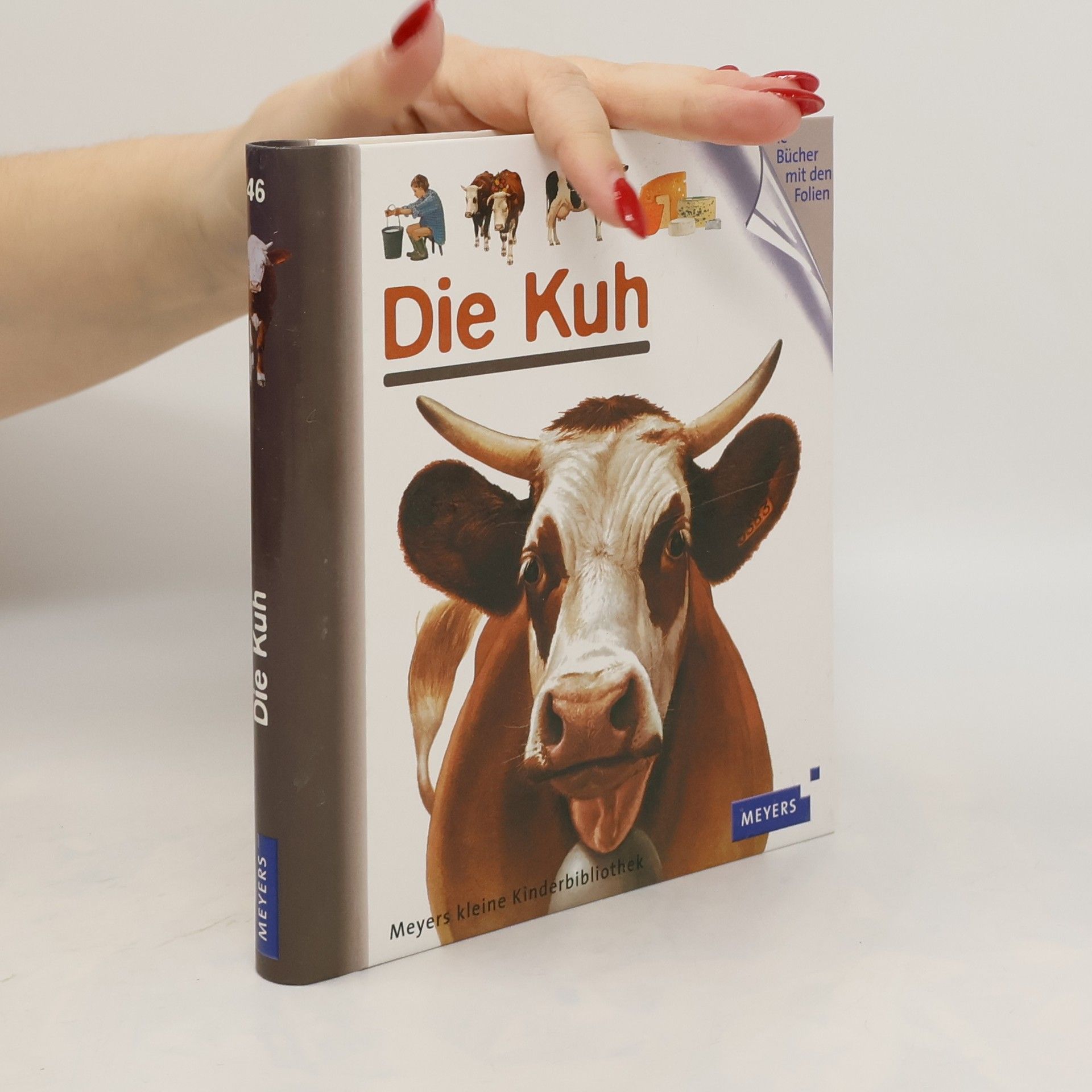 Jame's Prunier Die Kuh