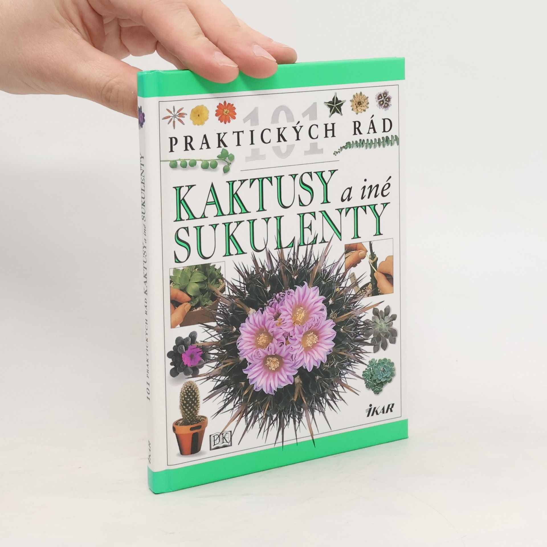 Hewitt Terry Kaktusy a iné sukulenty