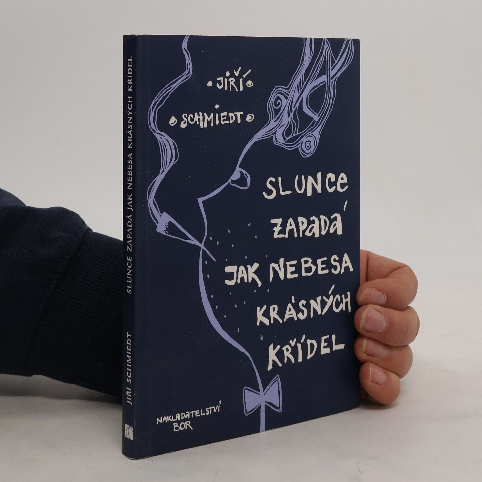 Jiří Schmiedt Slunce zapadá jak nebesa krásných křídel
