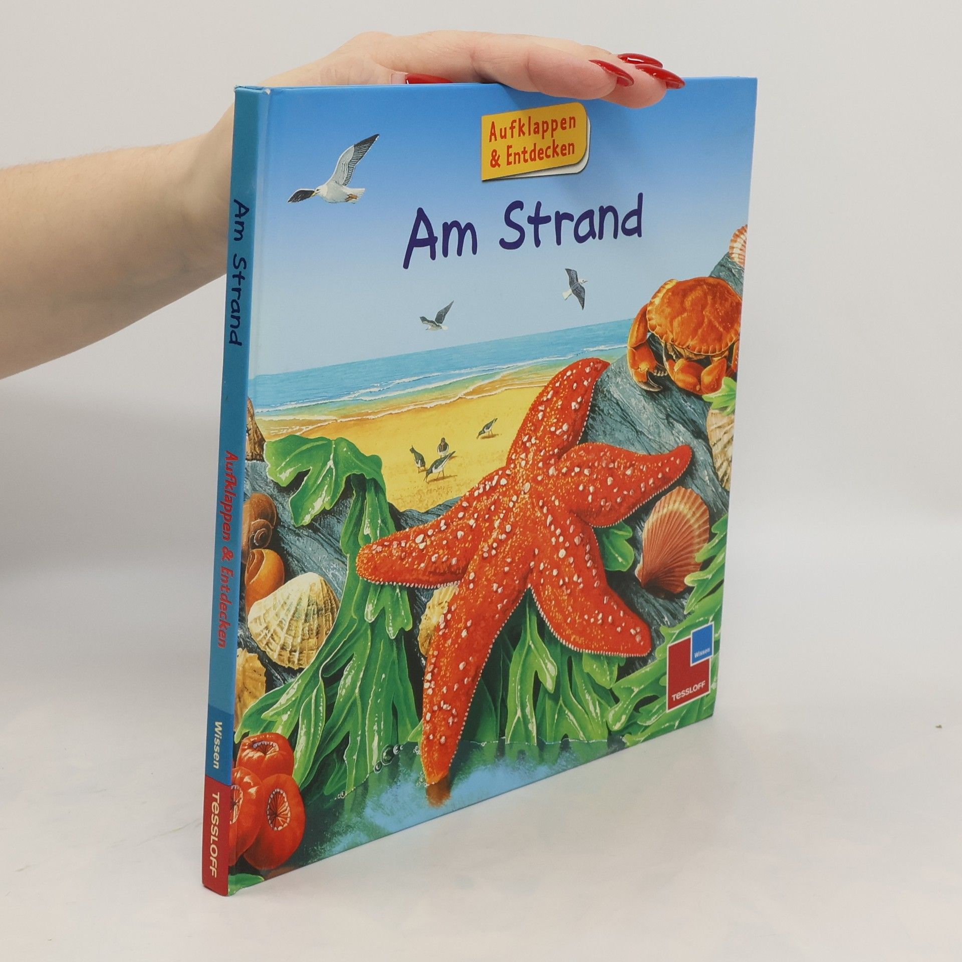 Alastair Smith Am Strand