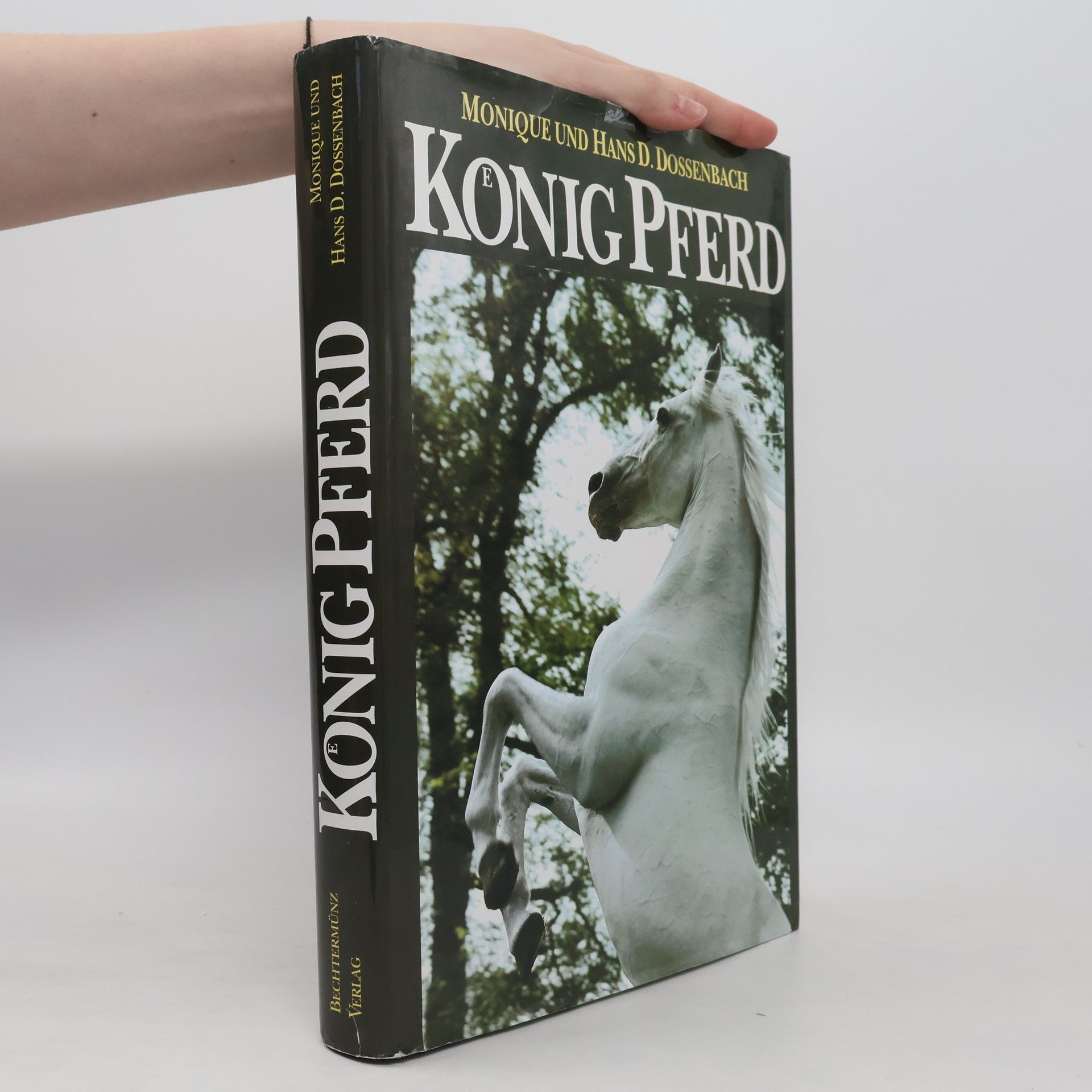 Monique Dossenbach König Pferd