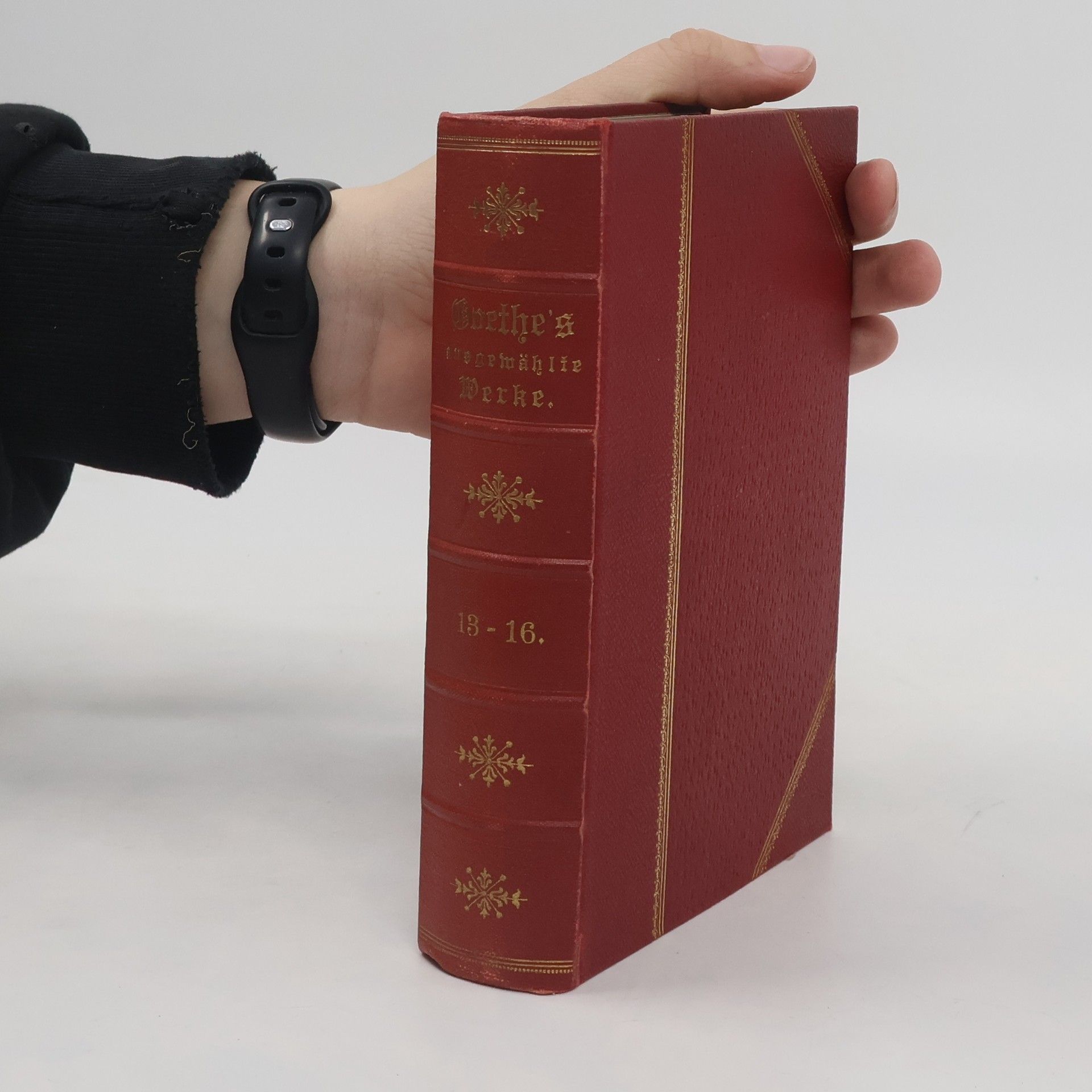 Johann Wolfgang von Goethe Goethes Werke. Auswahl in sechzehn Bänden. 13 Band