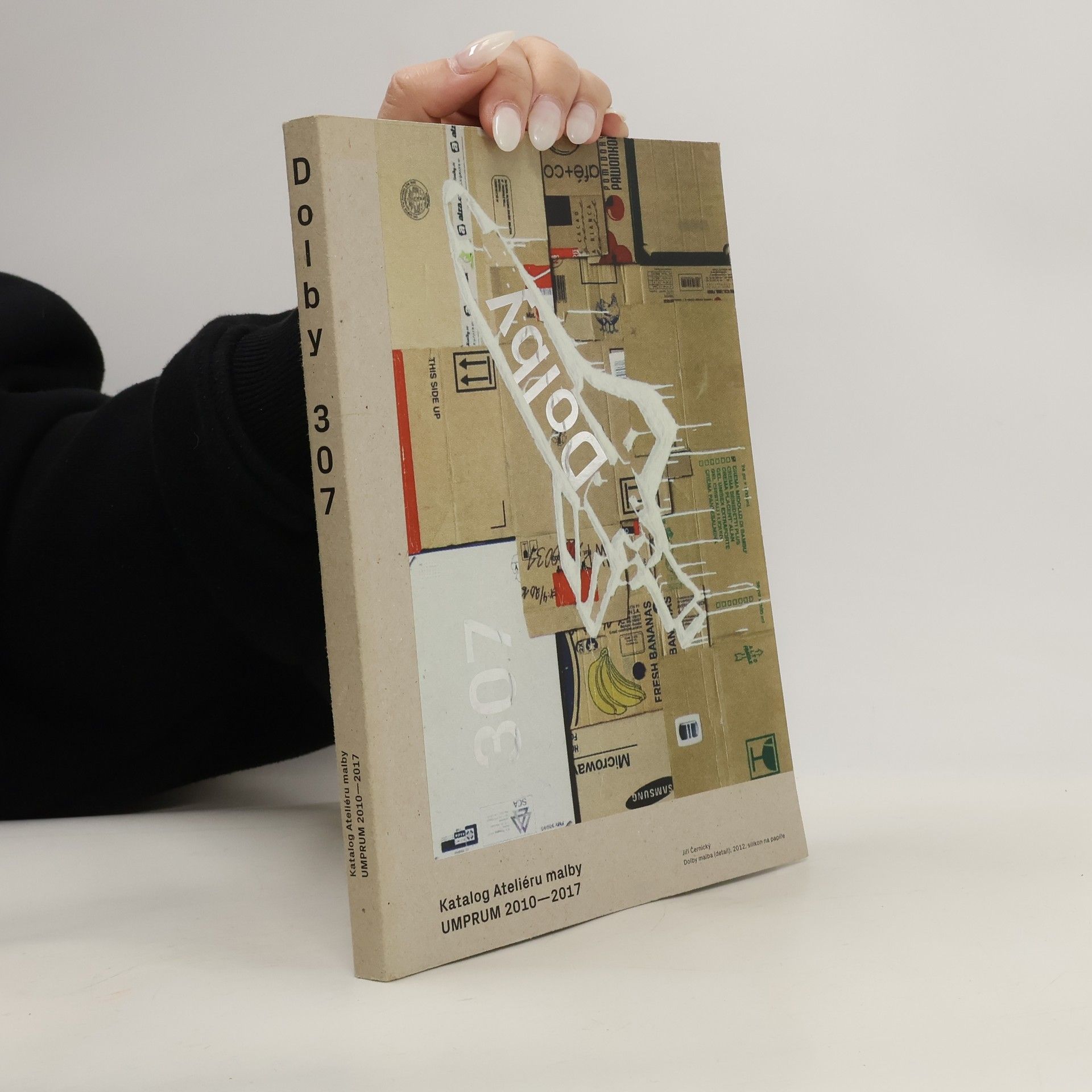 Eva Skopalová Dolby 307 - Katalog Ateliéru malby UMPRUM 2010–2017