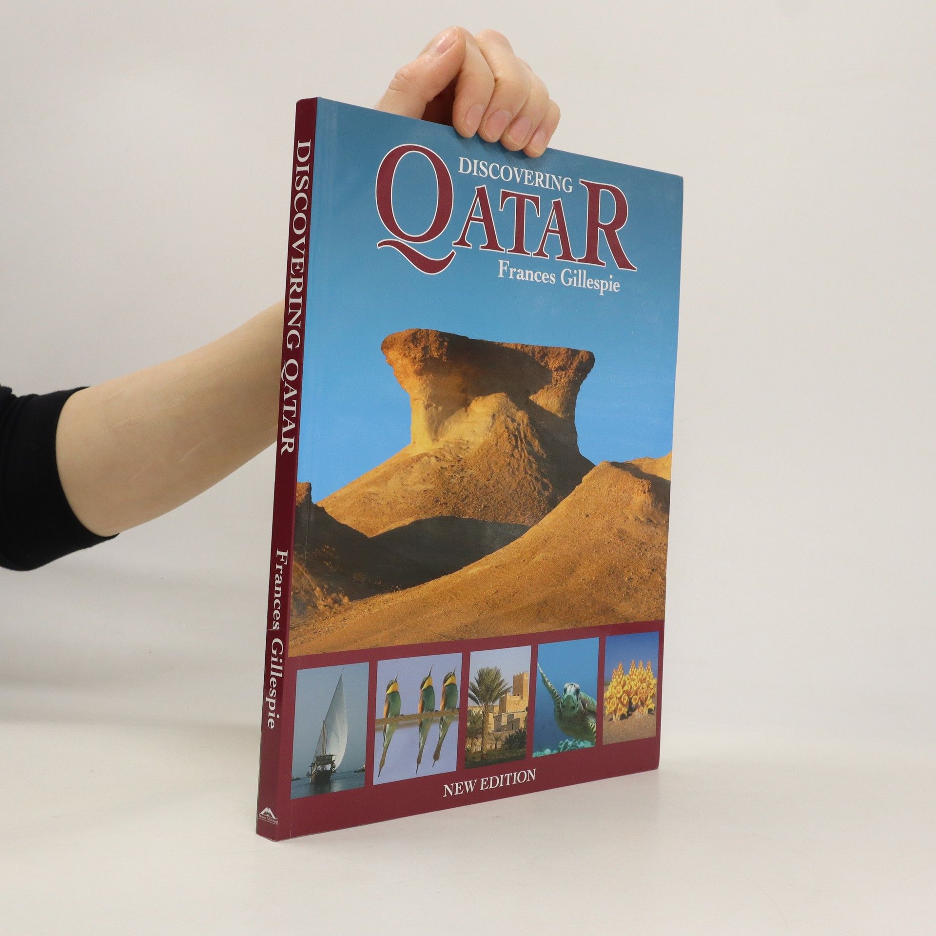 Frances Gillespie Discovering Qatar