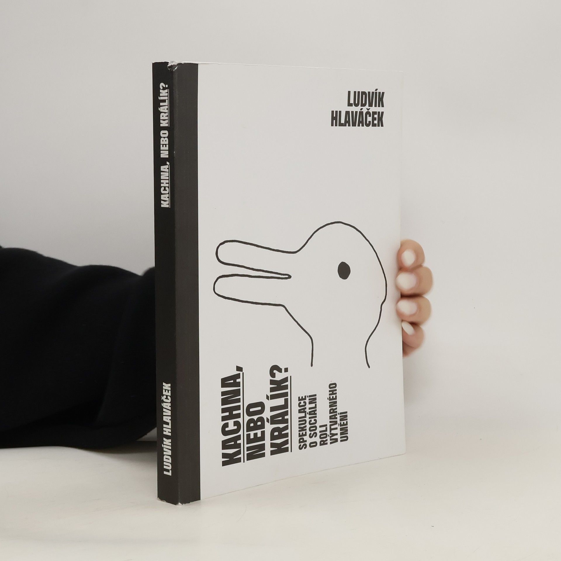 Ludvík Hlaváček Kachna, nebo králík?: Spekulace o sociální roli výtvarného umění