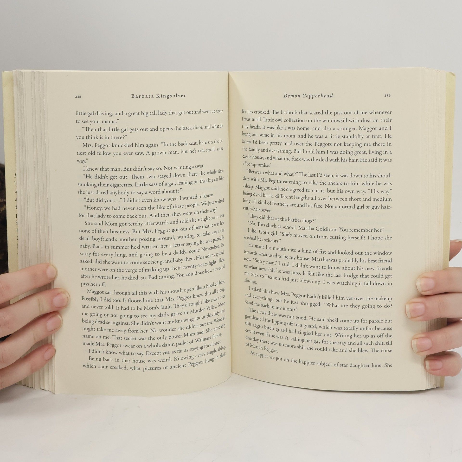 Barbara Kingsolver Demon Copperhead