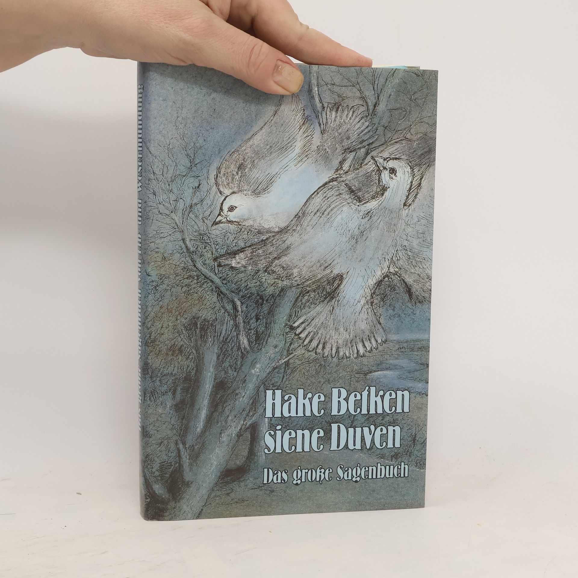 kolektiv Hake Betken siene Duven