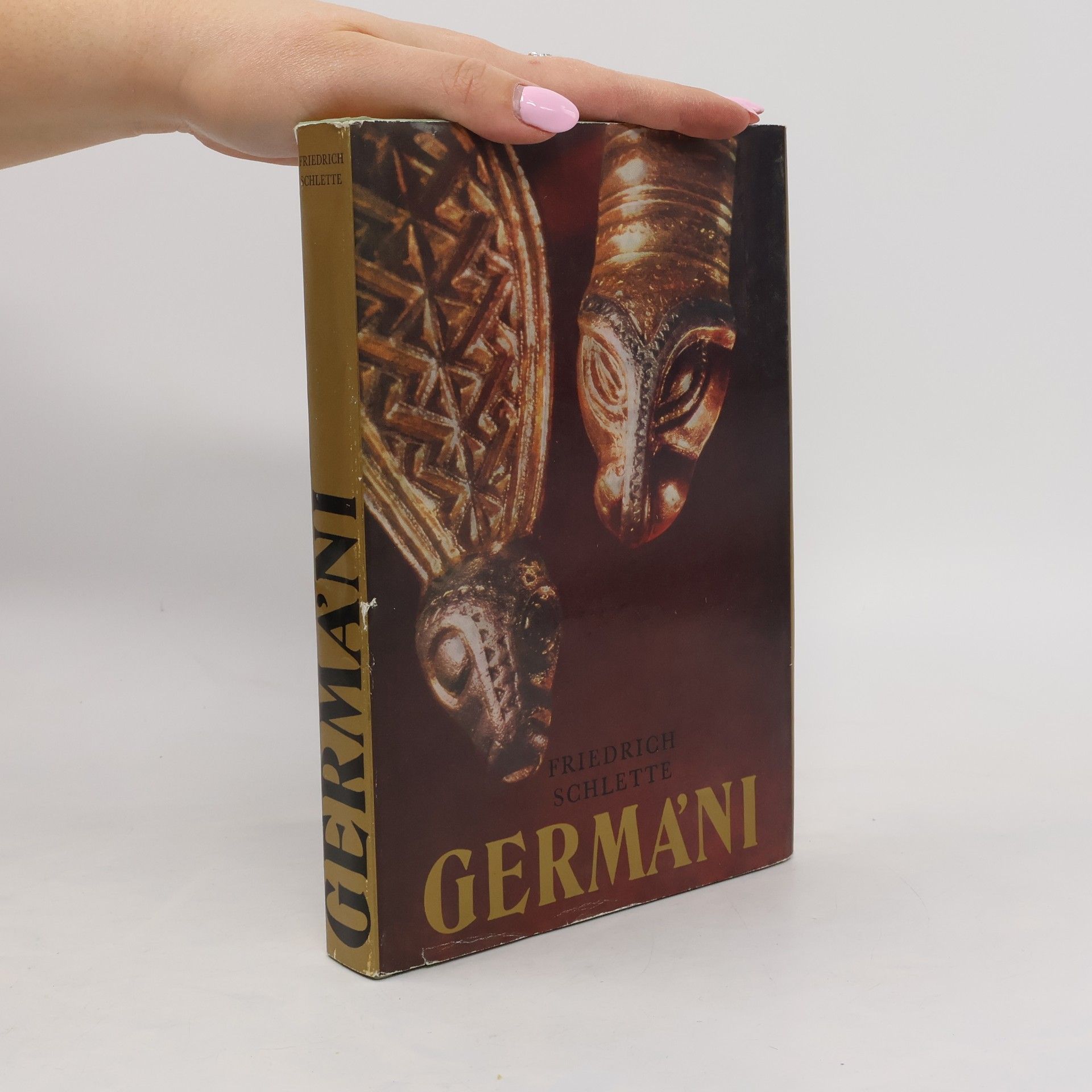 Friedrich Schlette Germáni mezi Thorsbergem a Ravennou