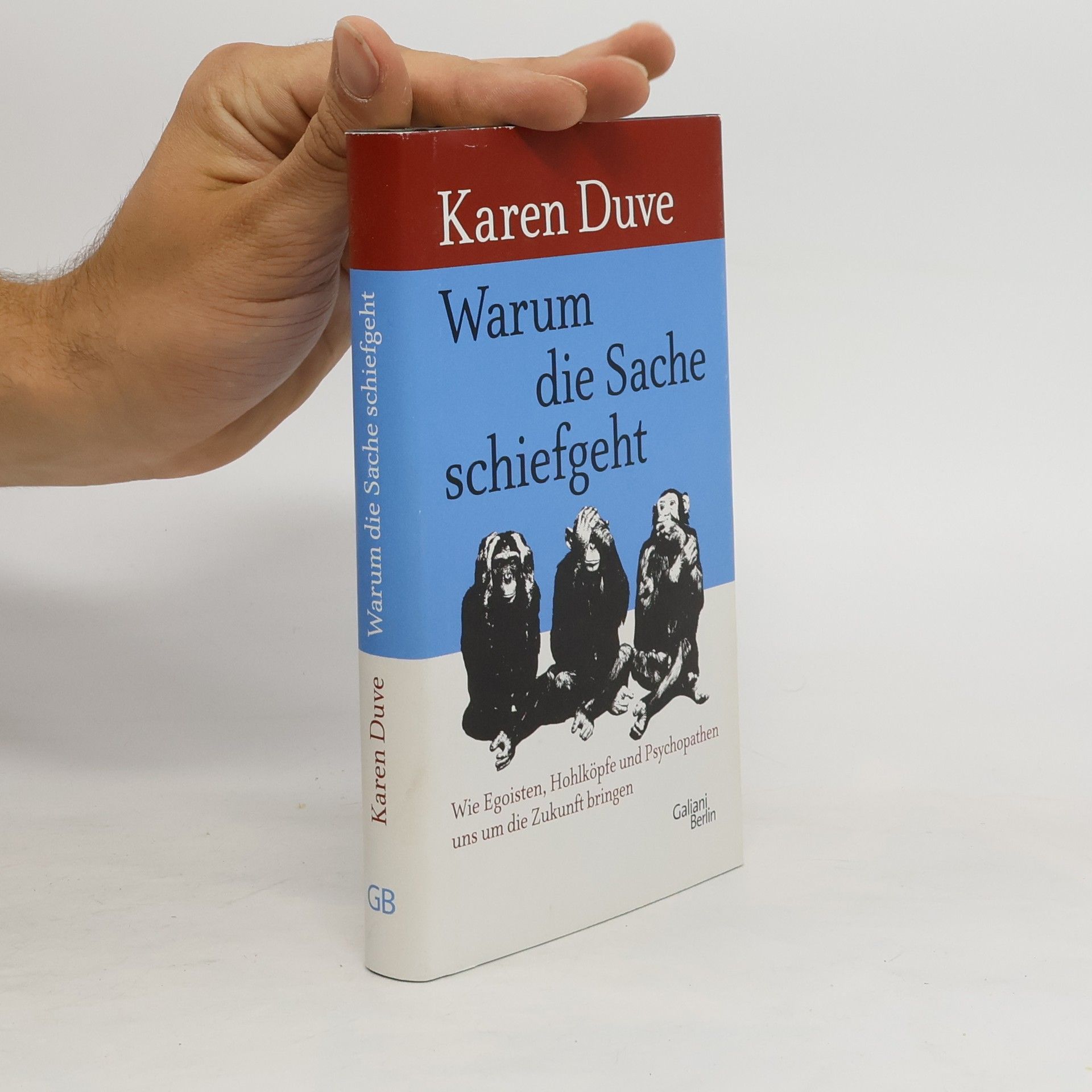 Karen Duve Warum die Sache schief geht