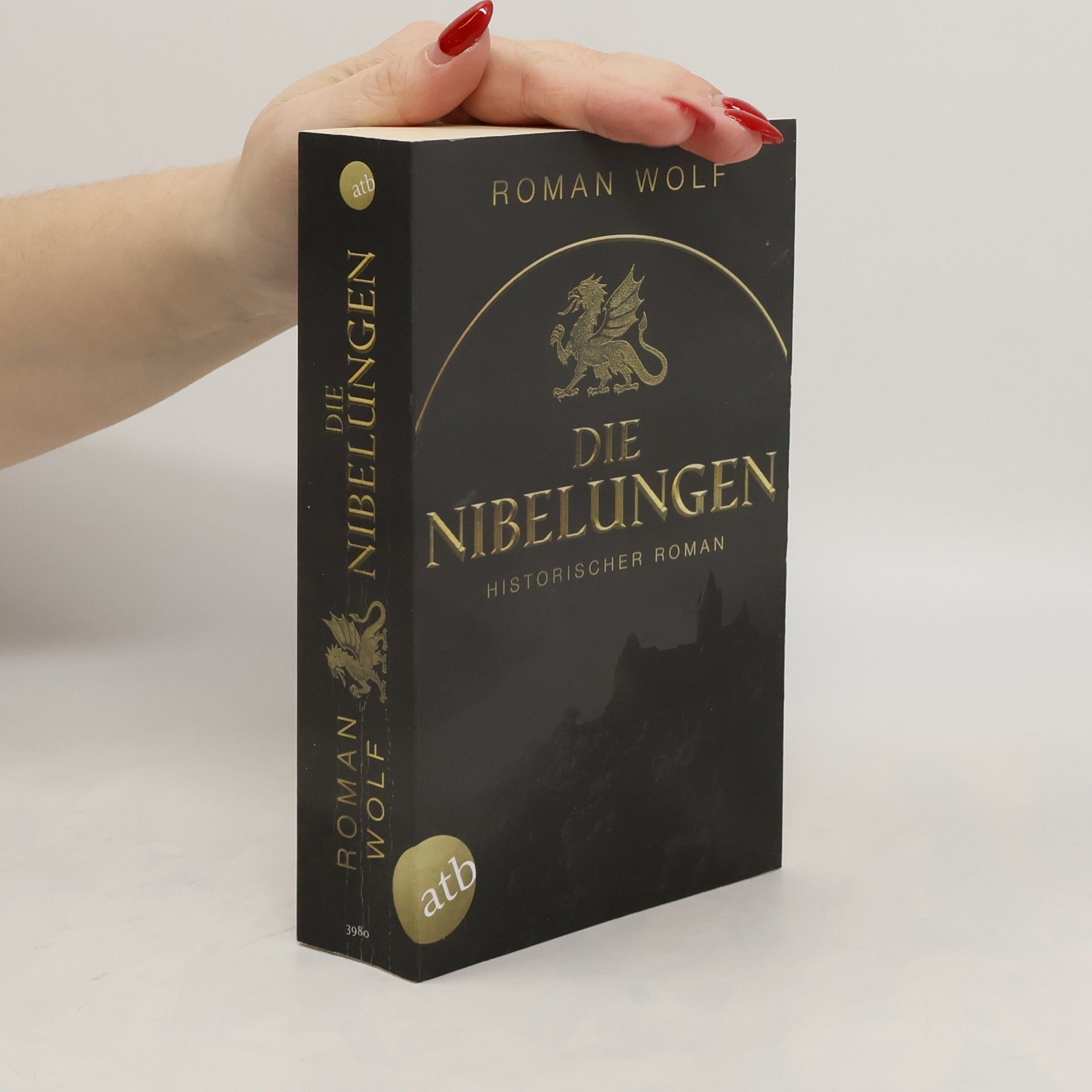 Roman Wolf Die Nibelungen