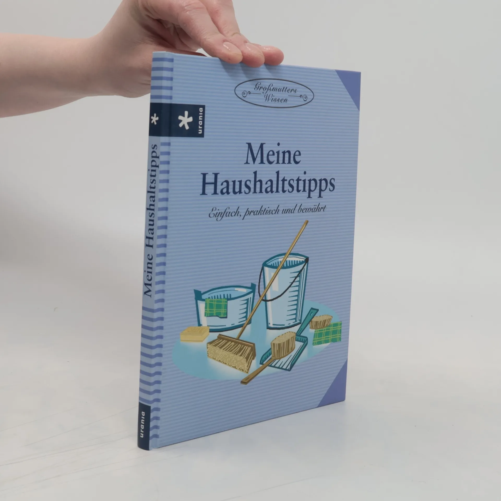 Meine Haushaltstipps | Book | Mathilda Esser | DE
