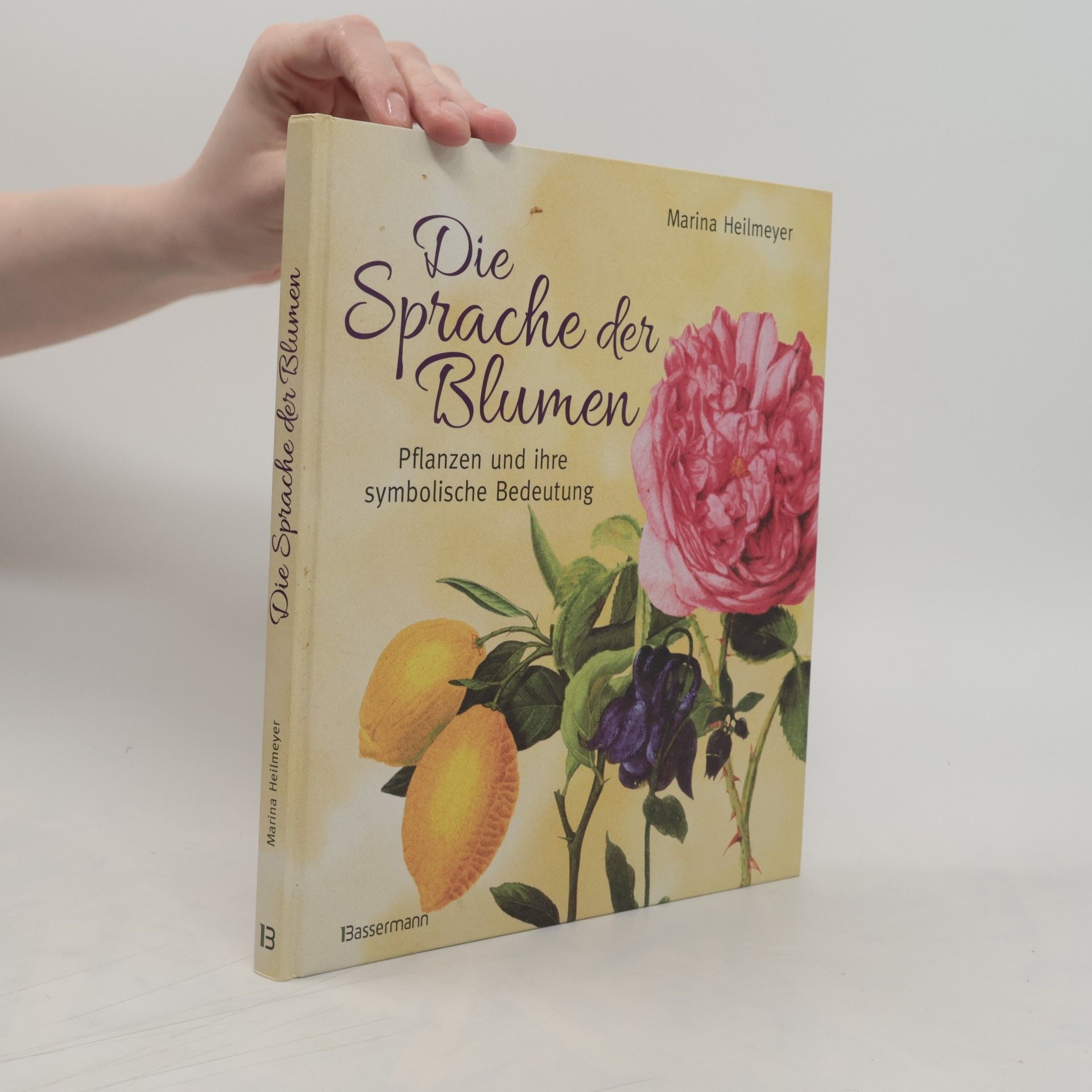 Marina Heilmeyer Die Sprache der Blumen