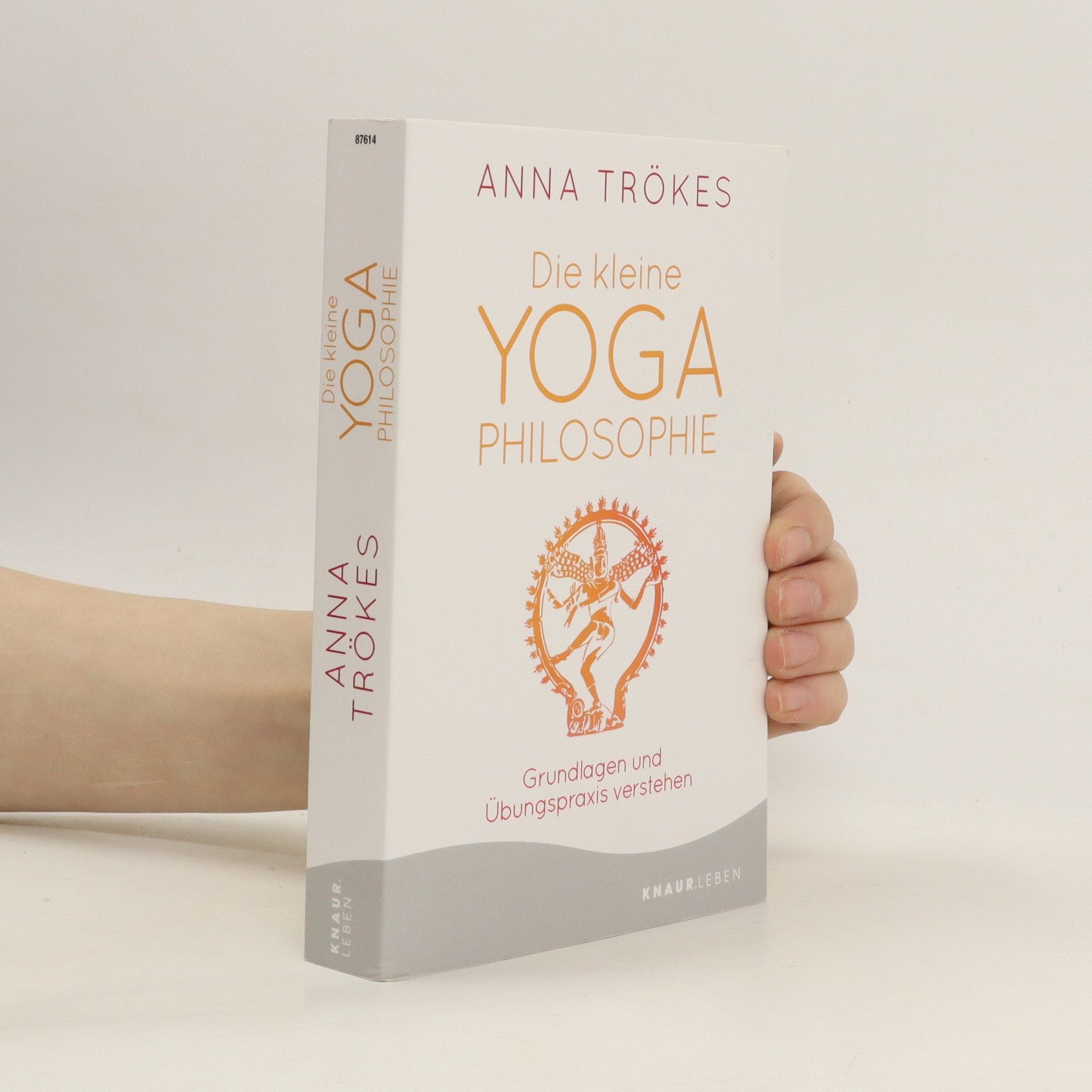 Anna Trökes Die kleine Yoga-Philosophie